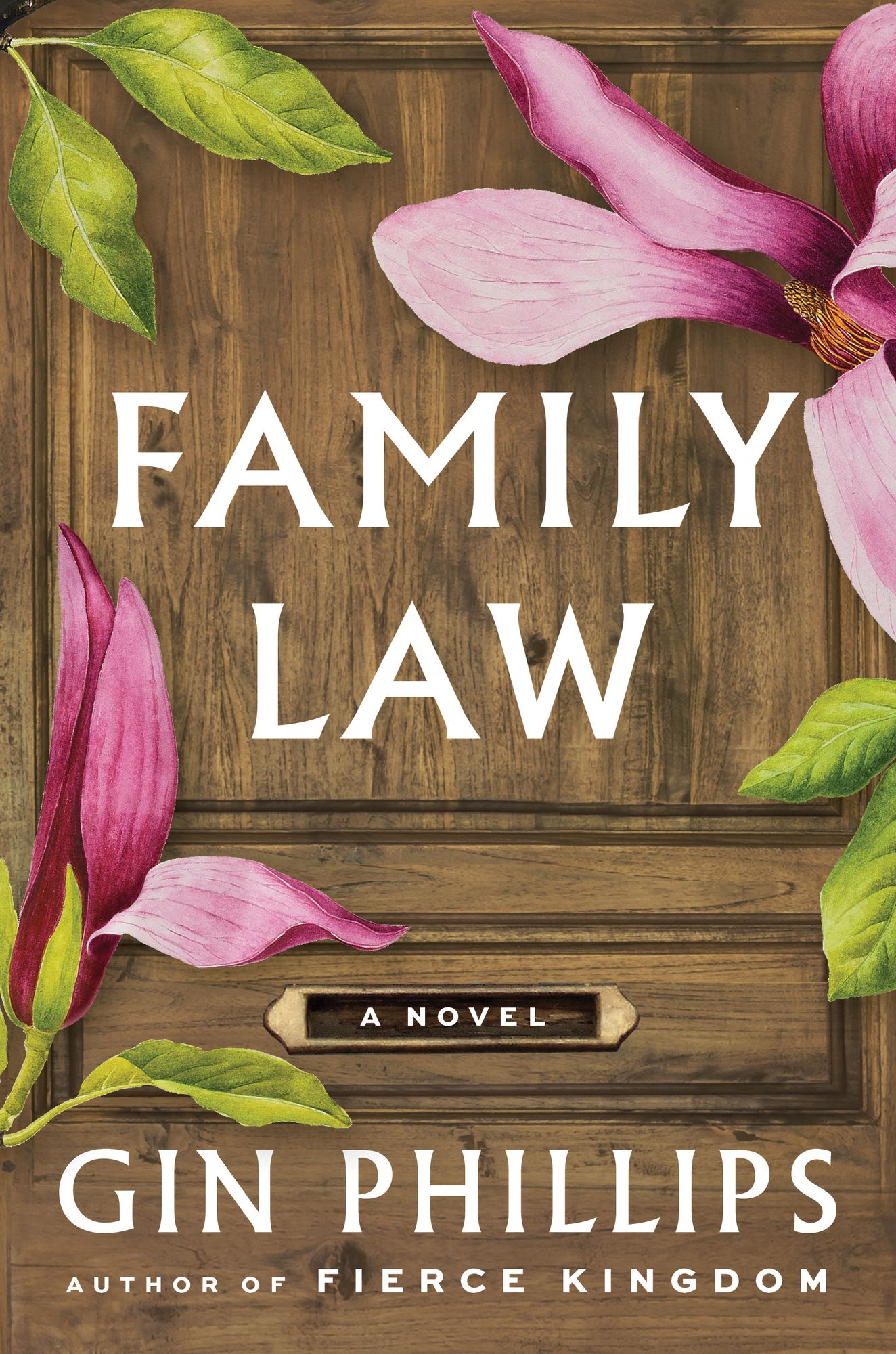 Family Law: A Novel