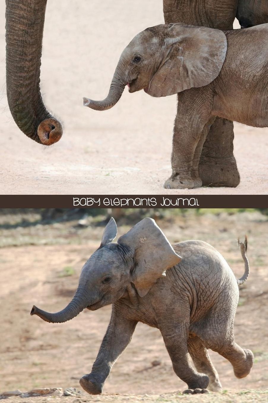 Baby Elephants Journal: 150-Page Writing Journal for Kids or Adults With Cute Elephant Pictures (6 x 9 Inches)