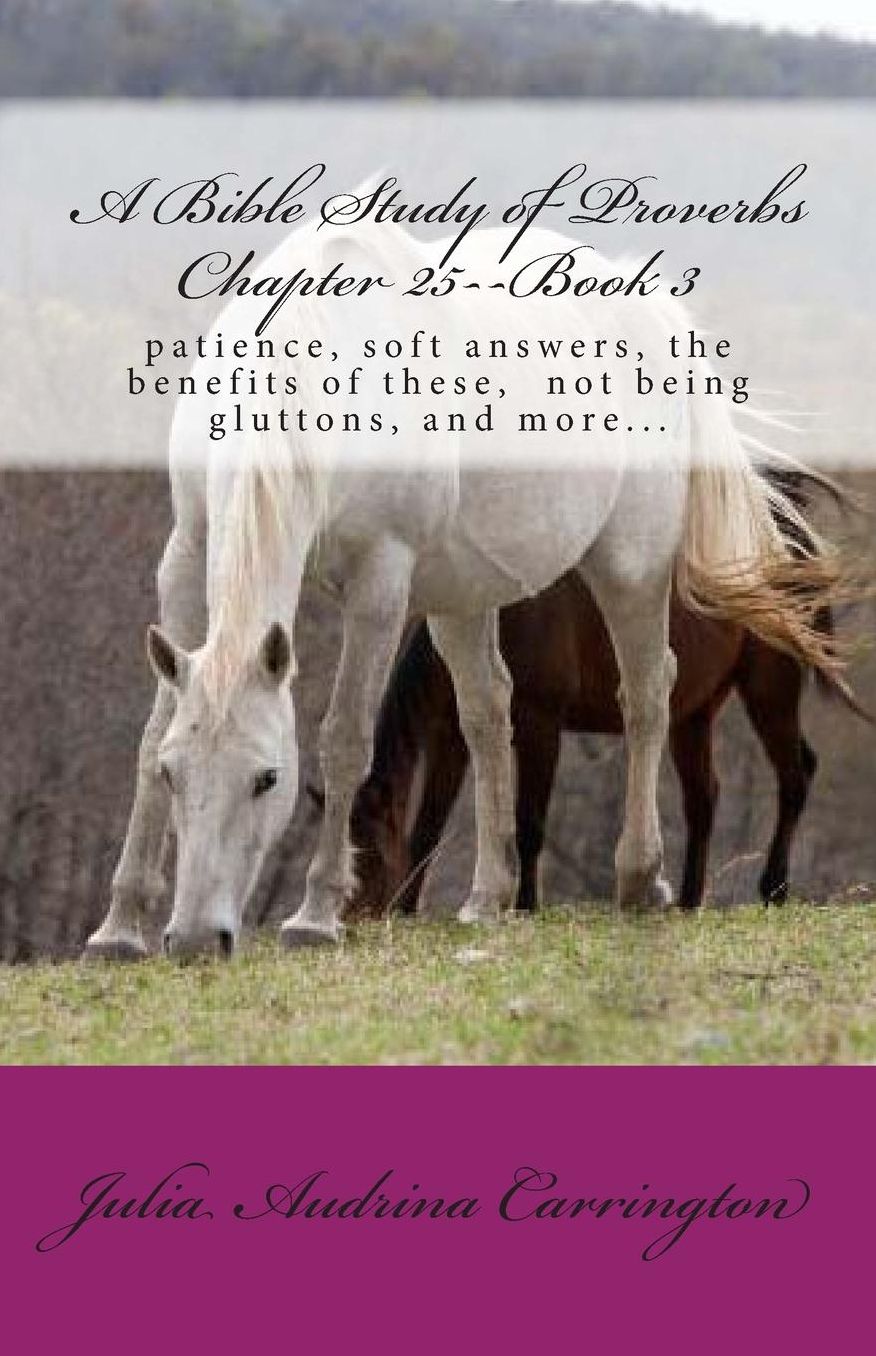 A Bible Study of Proverbs Chapter 25--Book 3