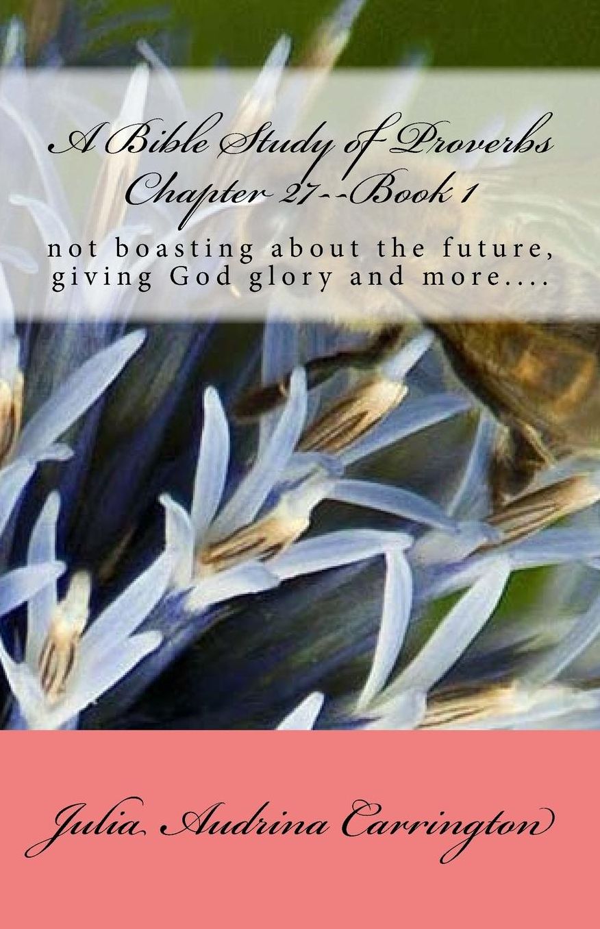 A Bible Study of Proverbs Chapter 27--Book 1