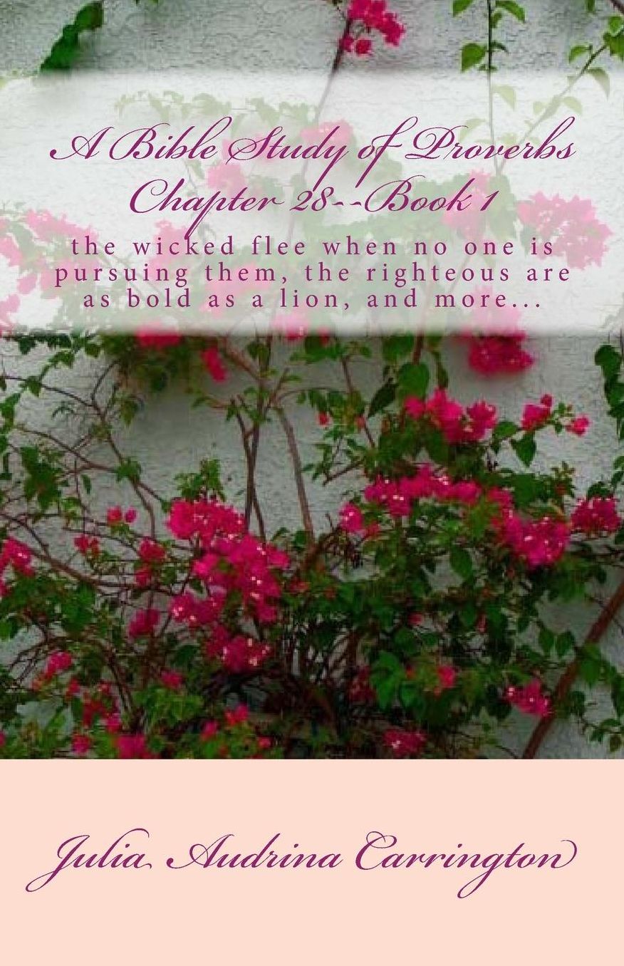 A Bible Study of Proverbs Chapter 28--Book 1