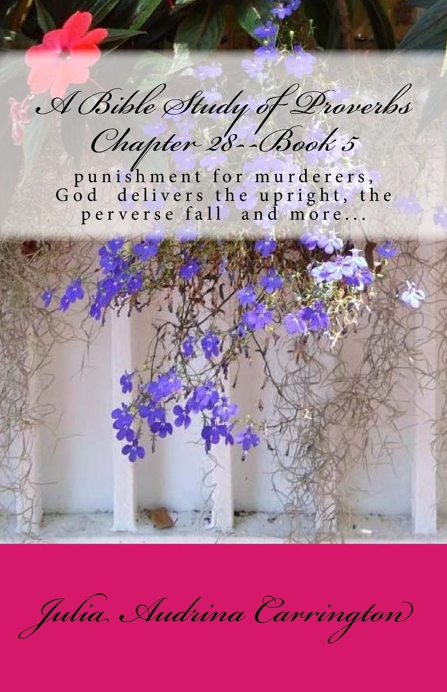 A Bible Study of Proverbs Chapter 28--Book 5