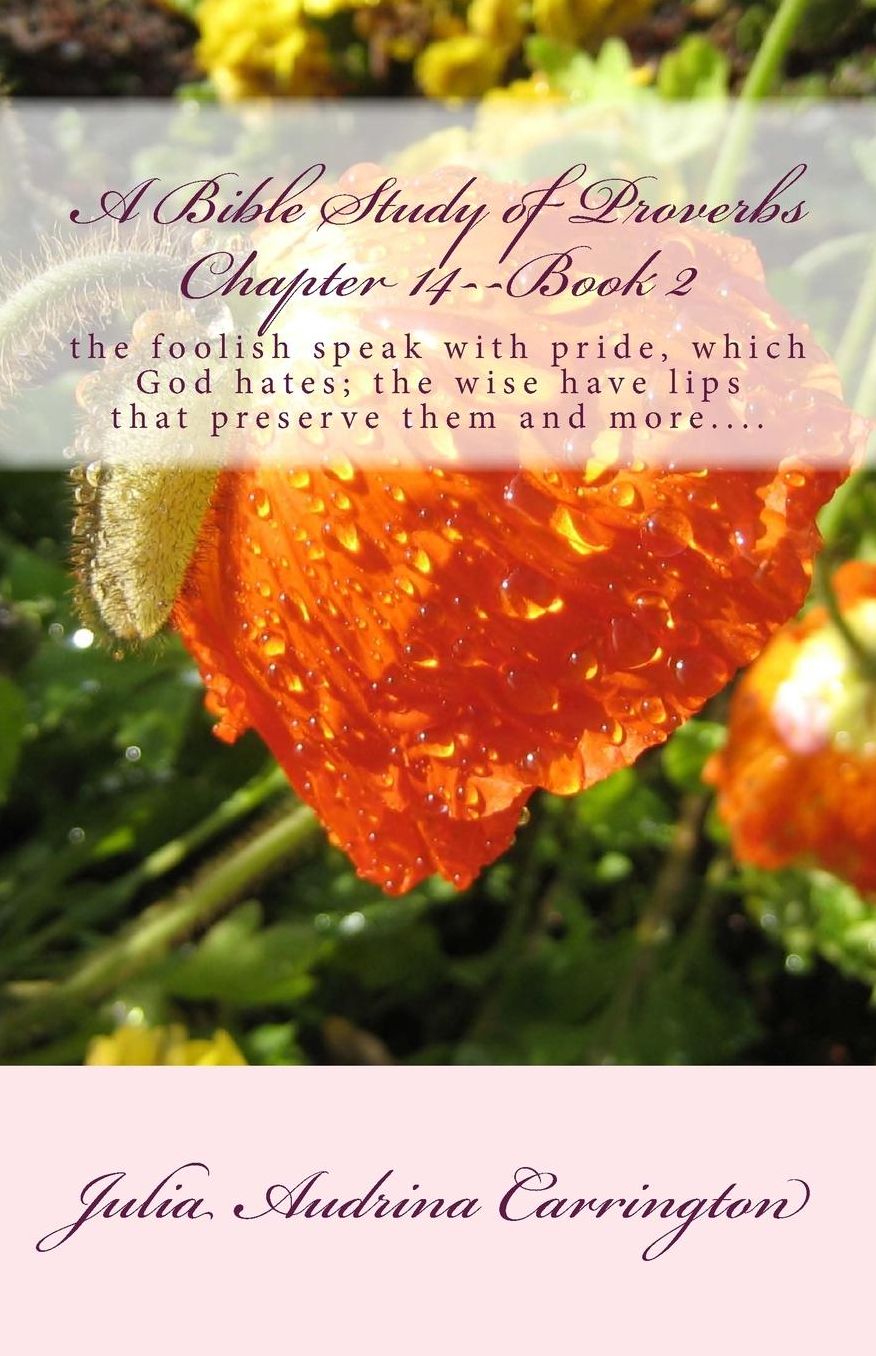 A Bible Study of Proverbs Chapter 14--Book 2