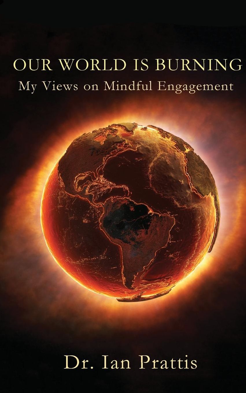 Our World Is Burning: My Views on Mindful Engagement