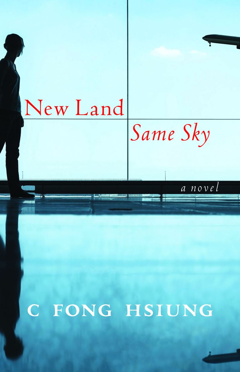 New Land Same Sky