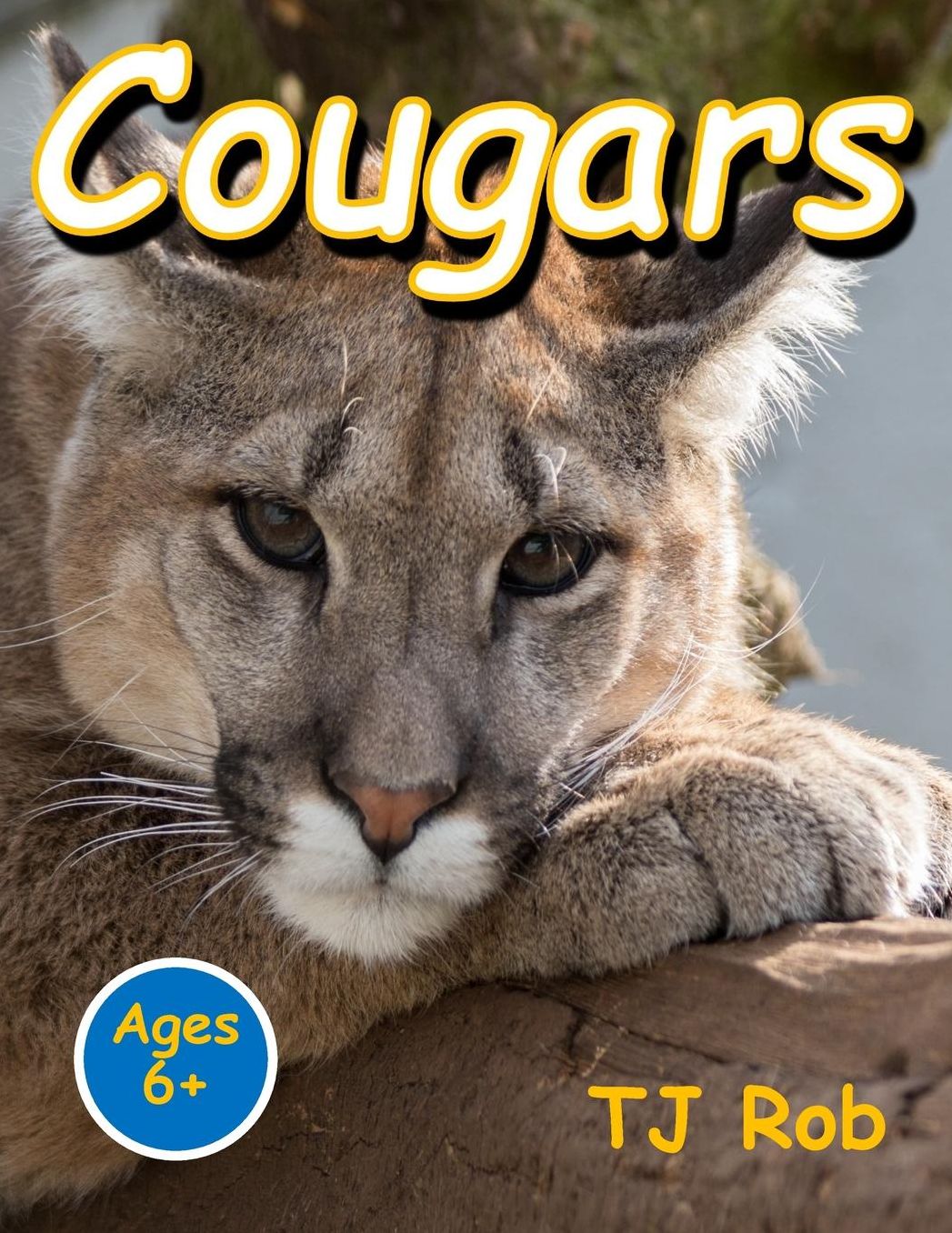 Cougars: (Age 6 and above)