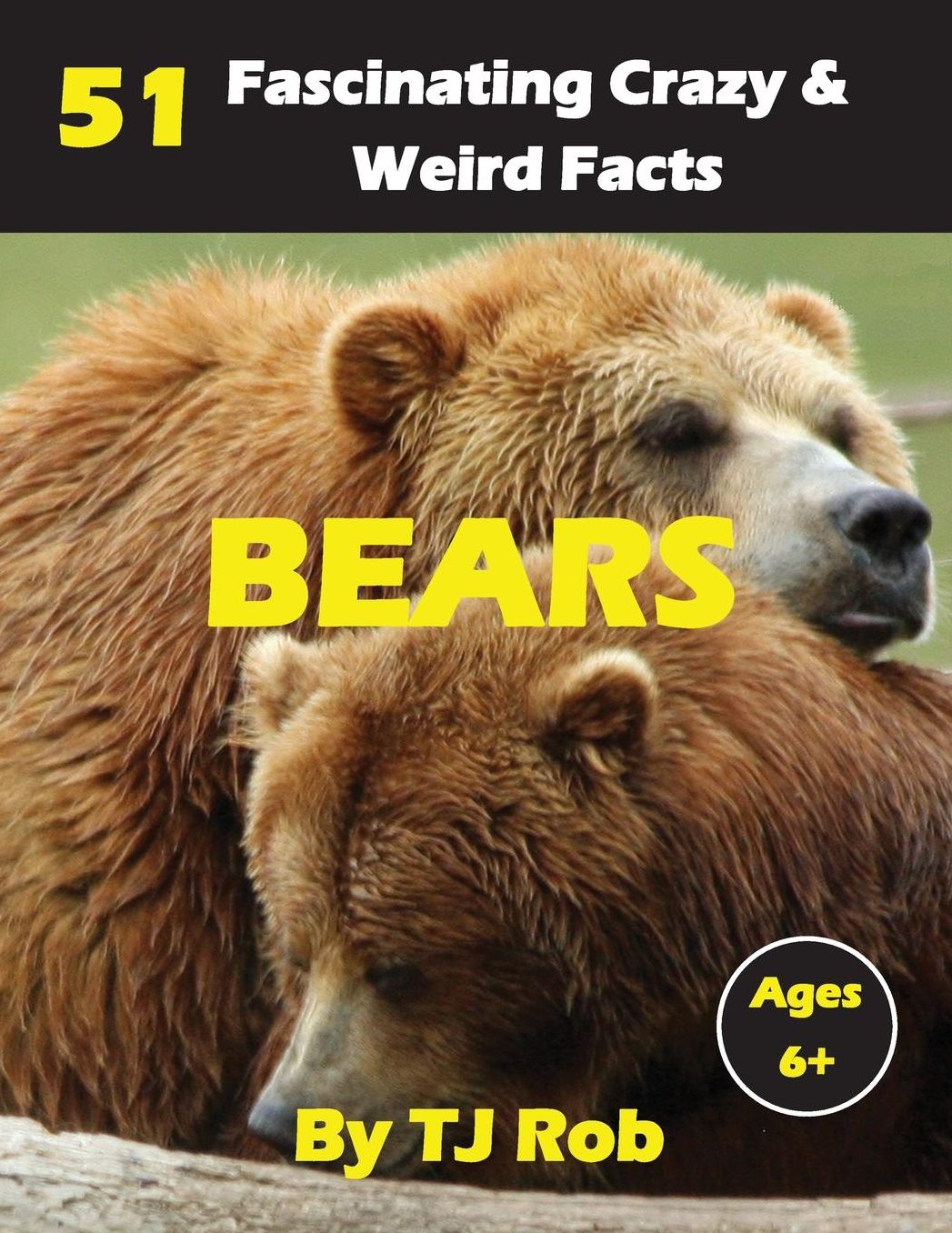 Bears: 51 Fascinating, Crazy & Weird Facts (Age 6 and above)