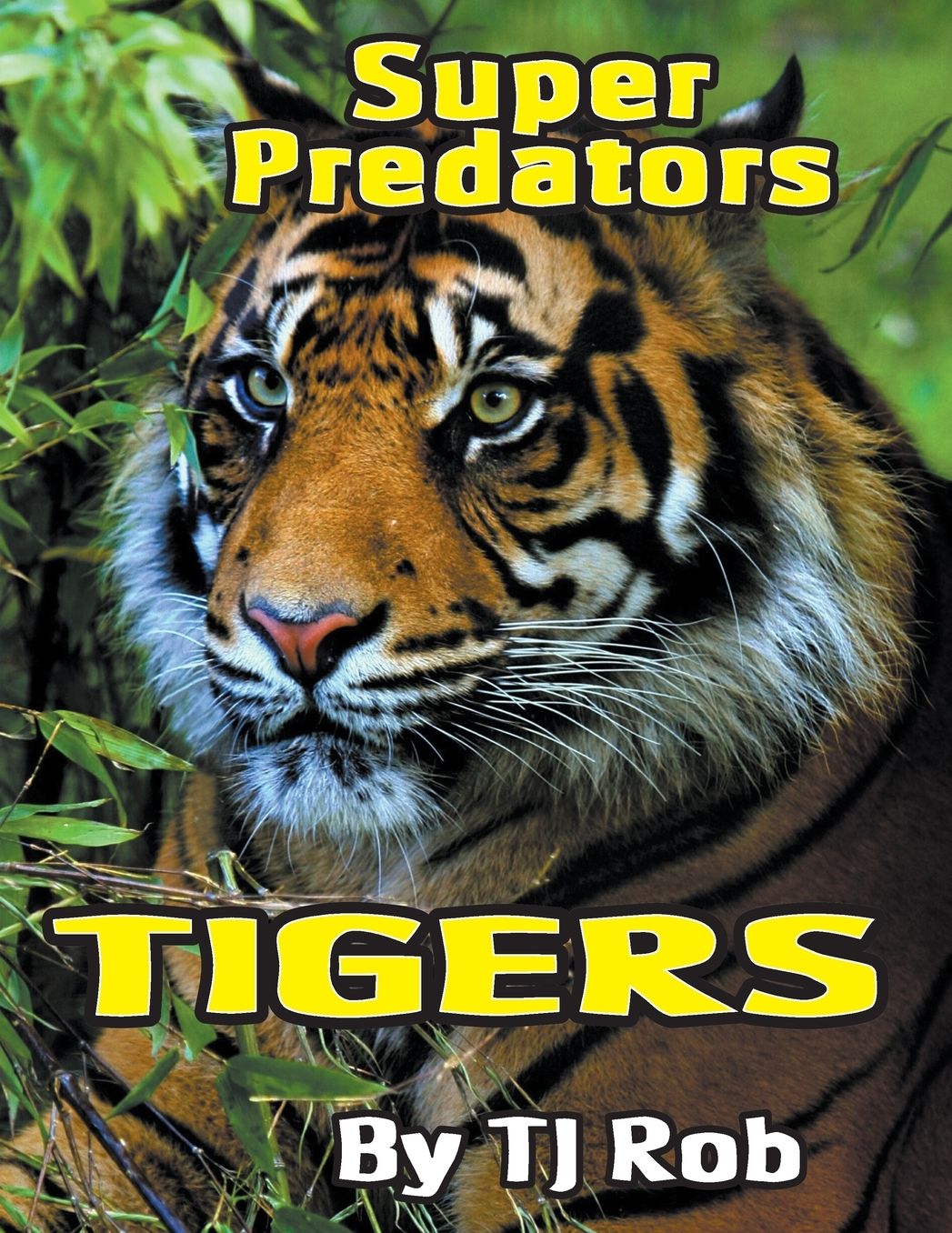 Tigers: (Age 6 and above)