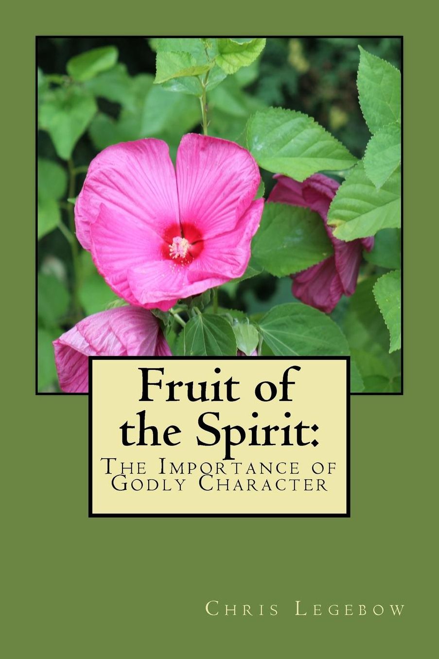 Fruit of the Spirit: : The Importance of Godly Character
