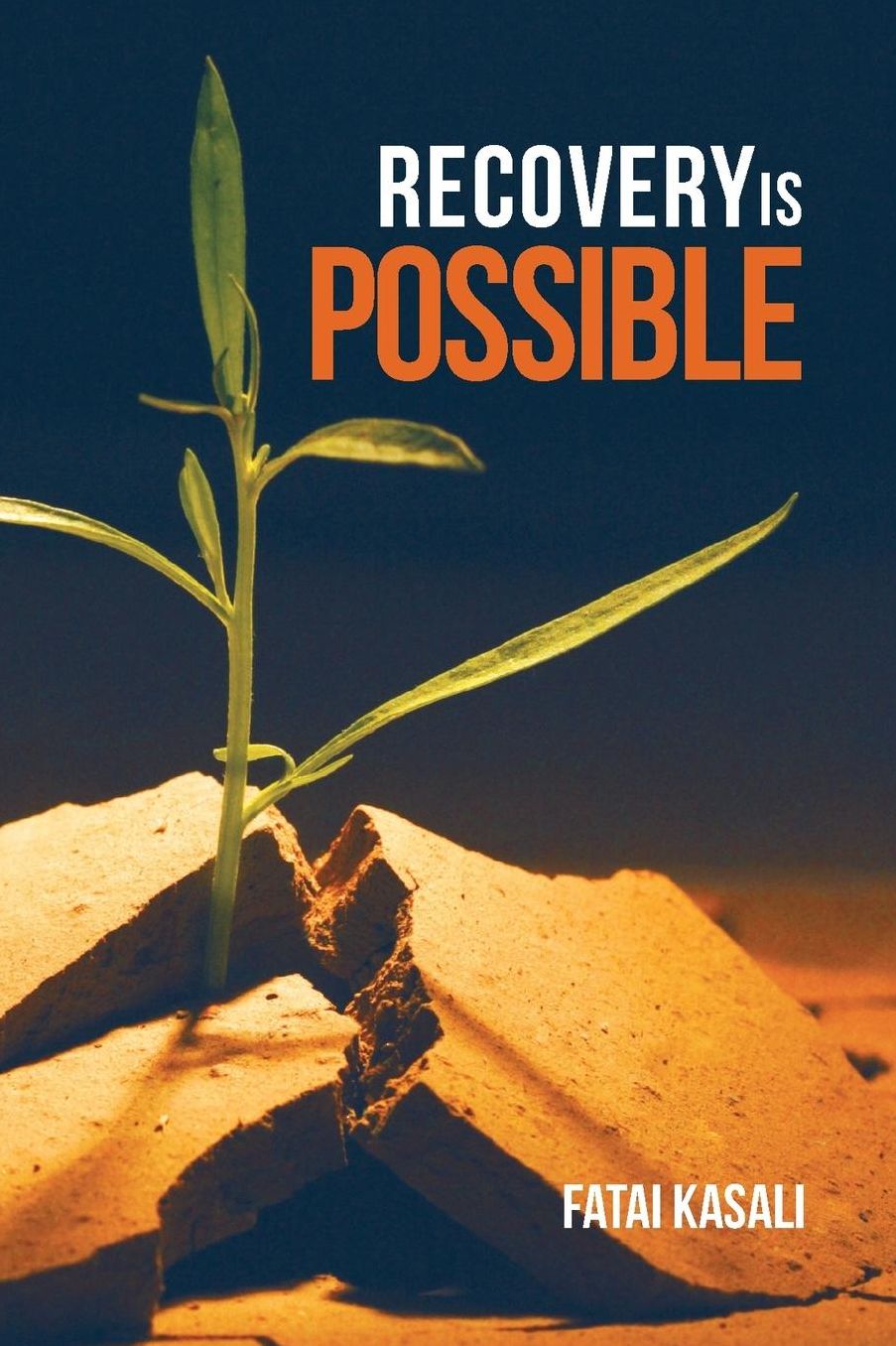 Recovery is Possible