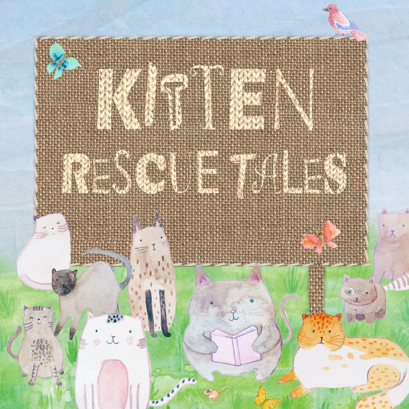 Kitten Rescue Tales