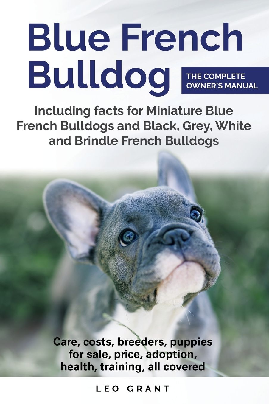 Blue French Bulldog: Care, costs, price, adoption, health, training and how to find breeders and puppies for sale. Includes facts for Miniature, Black, Grey, White and Brindle French Bulldogs.