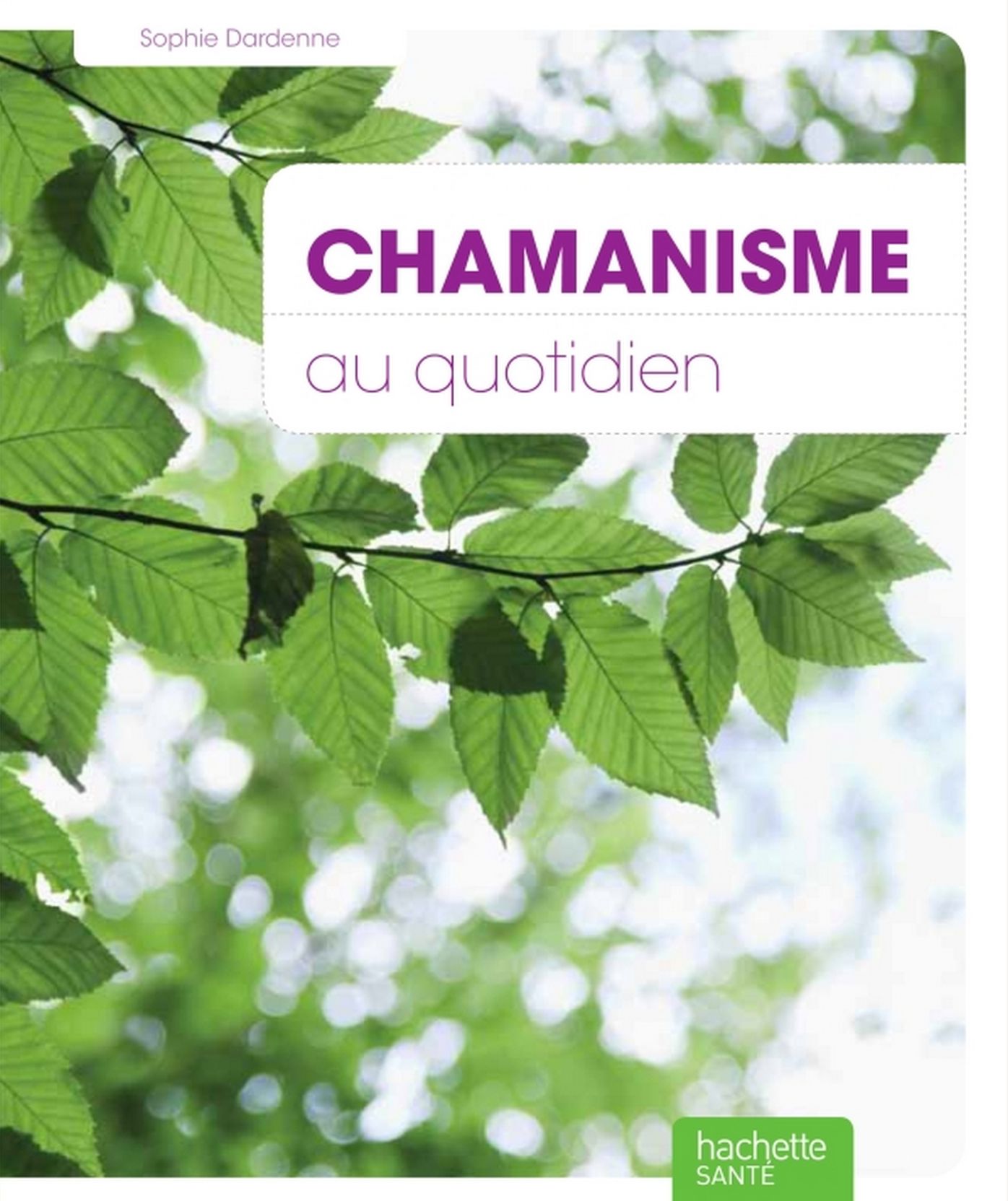 Chamanisme au quotidien