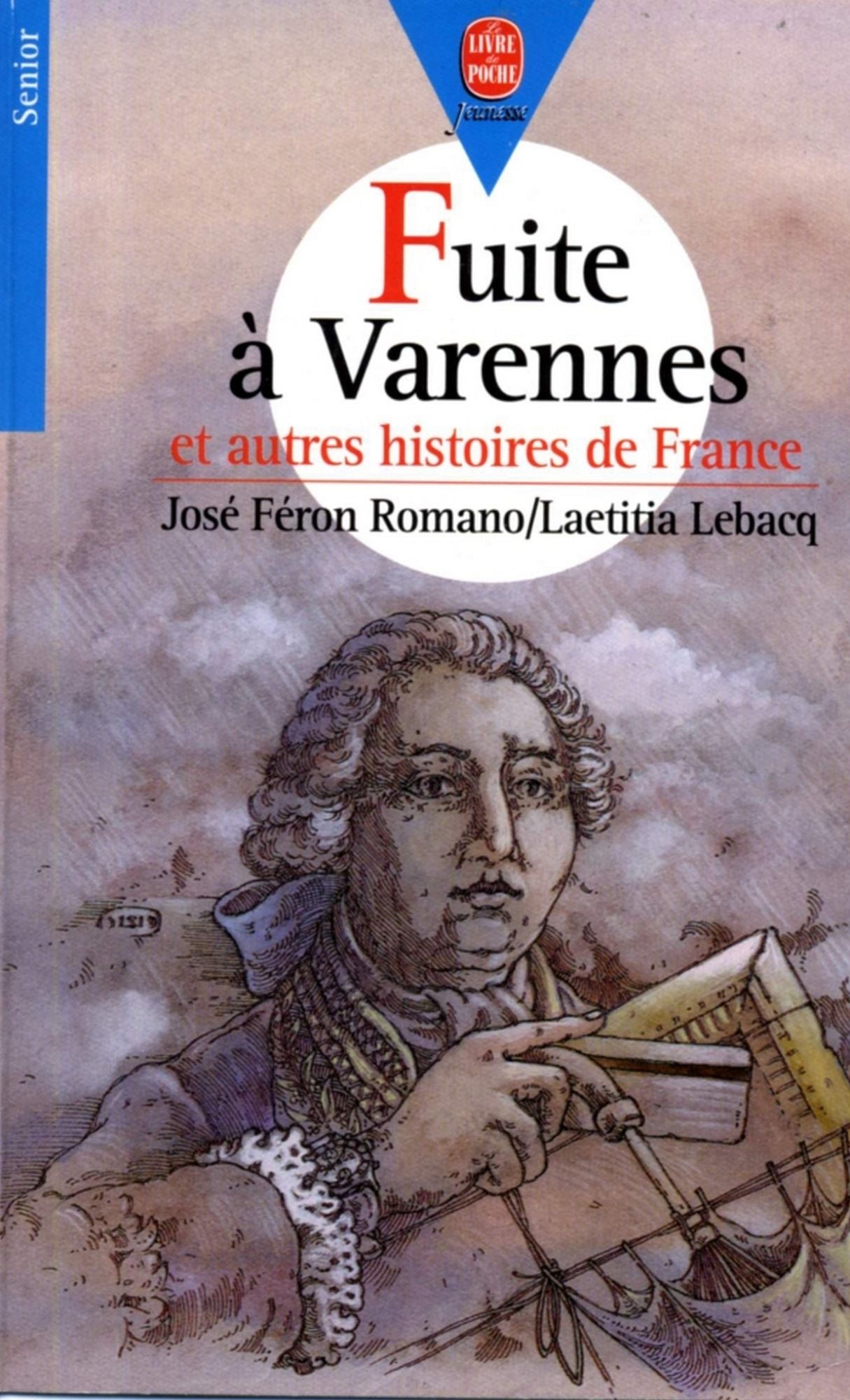 Fuite à Varennes: et autres histoires de France