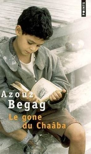 Le Gone Du Chaaba