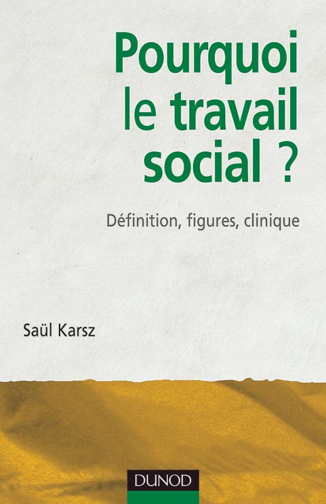 Pourquoi le travail social ?: Définition, figures, clinique