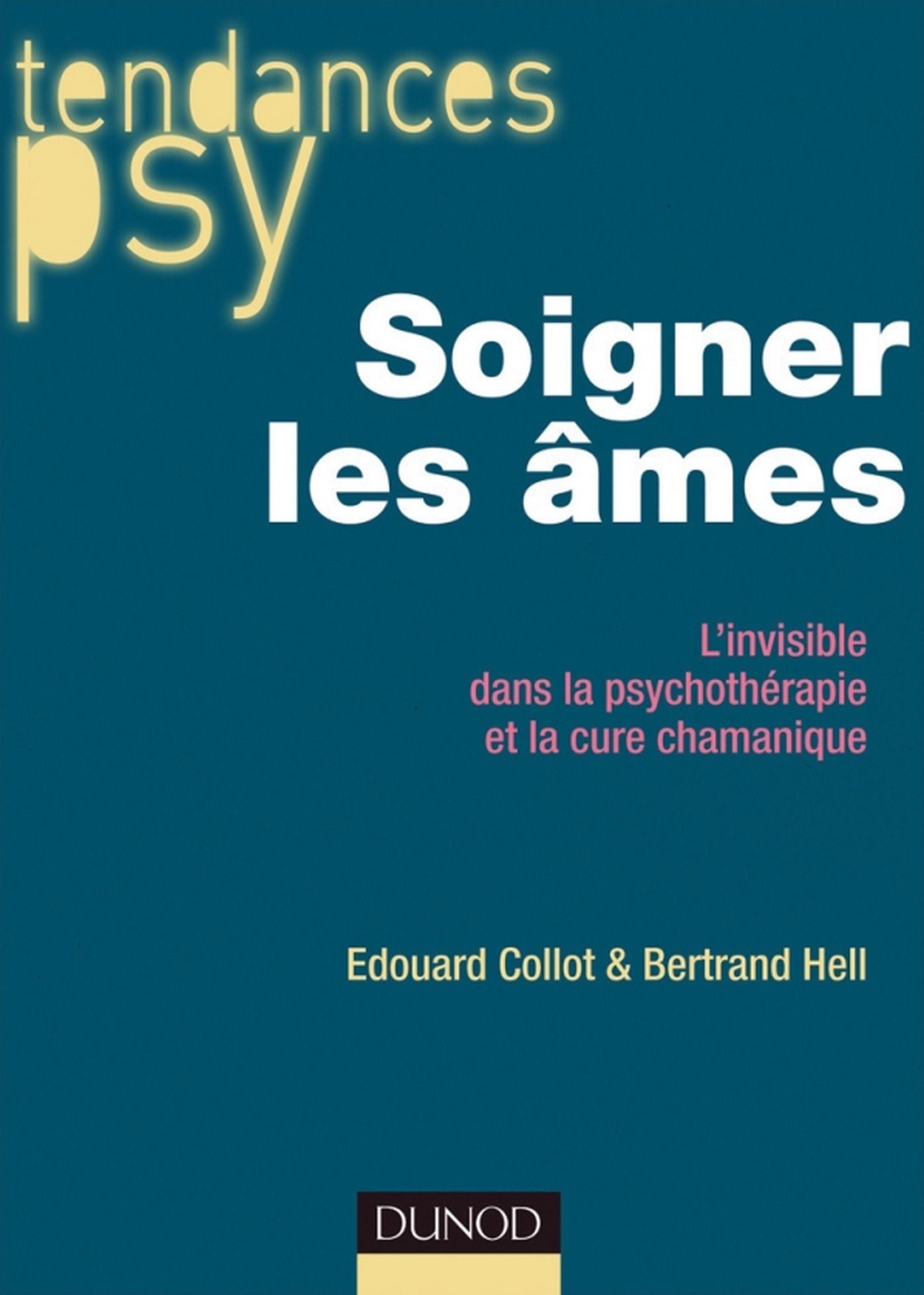 Soigner les âmes: L'invisible dans la psychothérapie et la cure chamanique