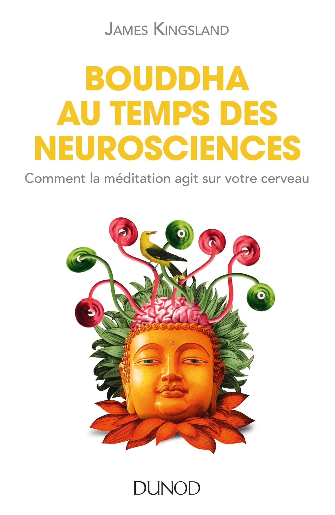 Bouddha au temps des neurosciences: Comment la méditation agit sur notre cerveau