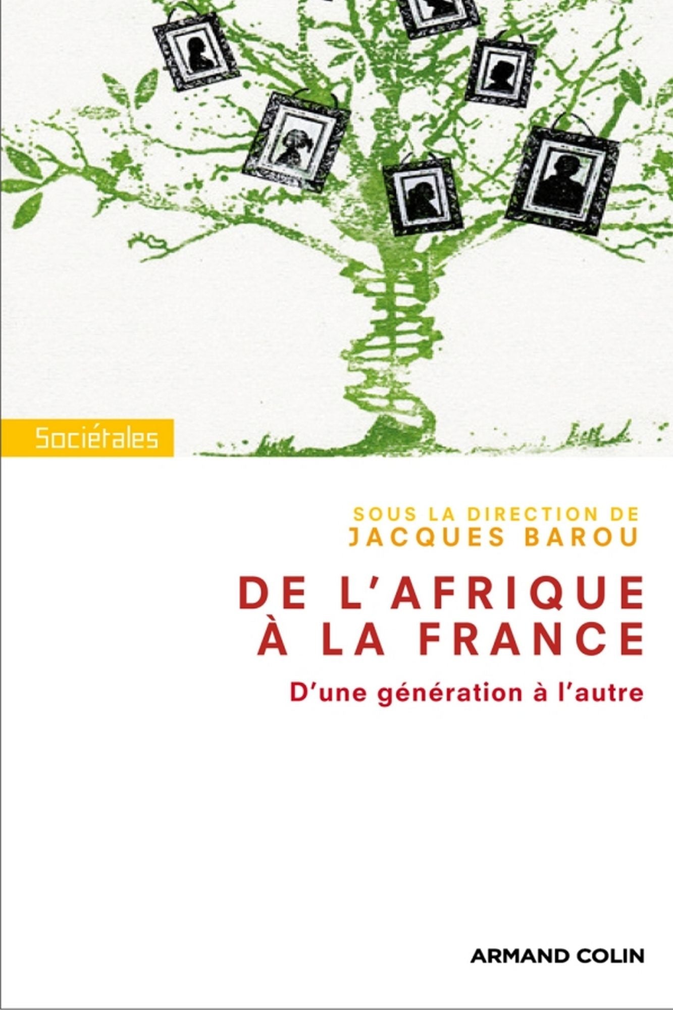De l'Afrique à la France. D'une génération à l'autre.