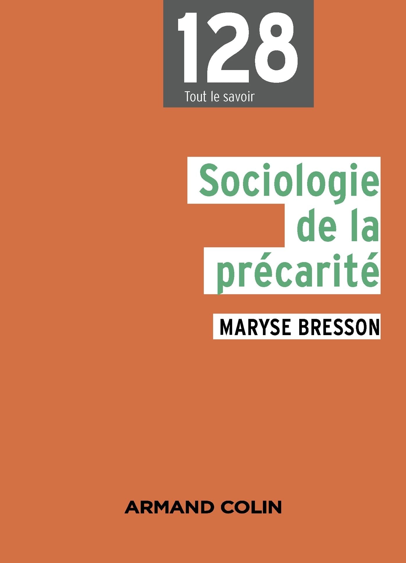 Sociologie de la précarité: Domaines et approches