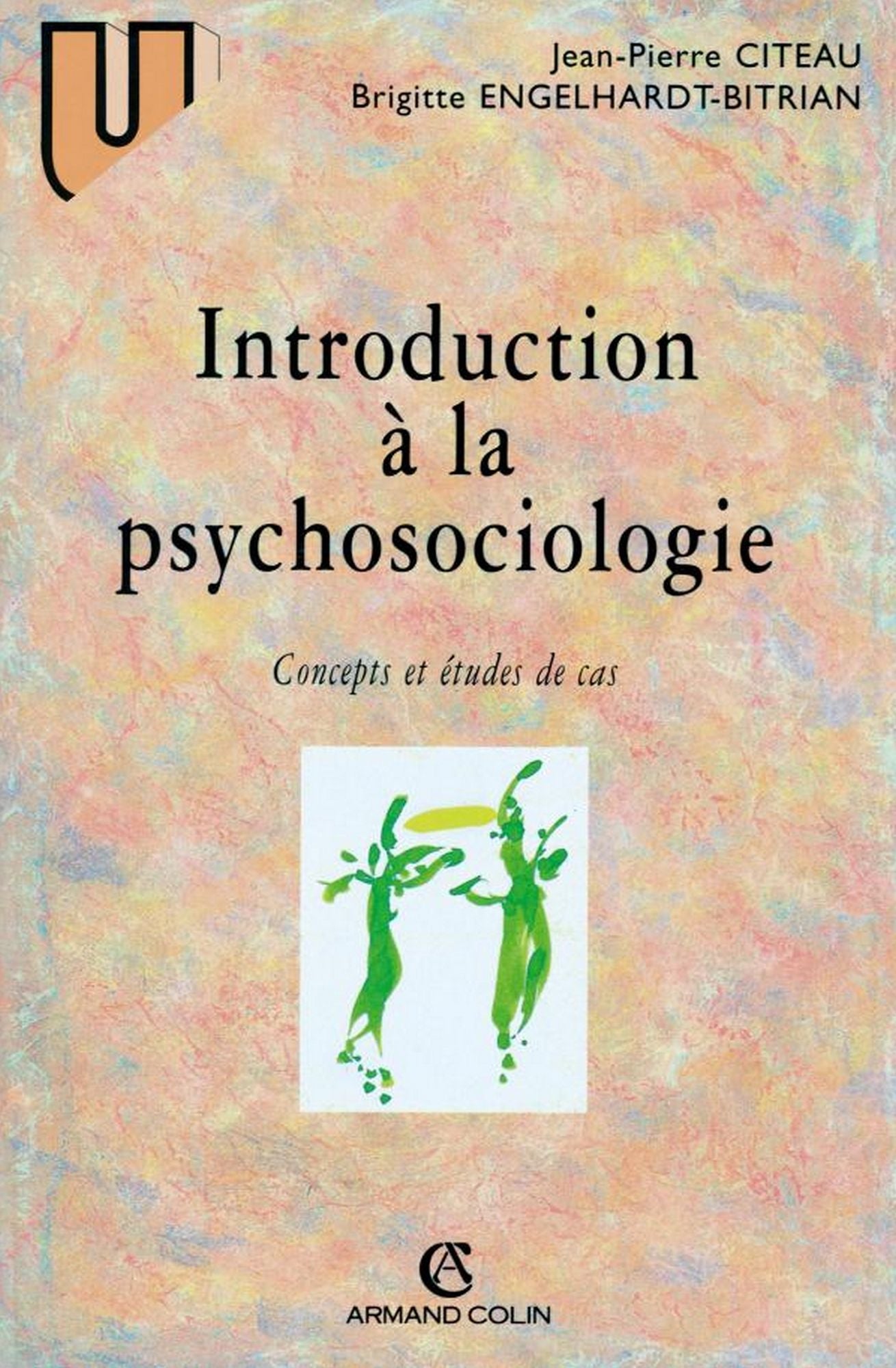 Introduction à la psychosociologie: Concepts et études de cas