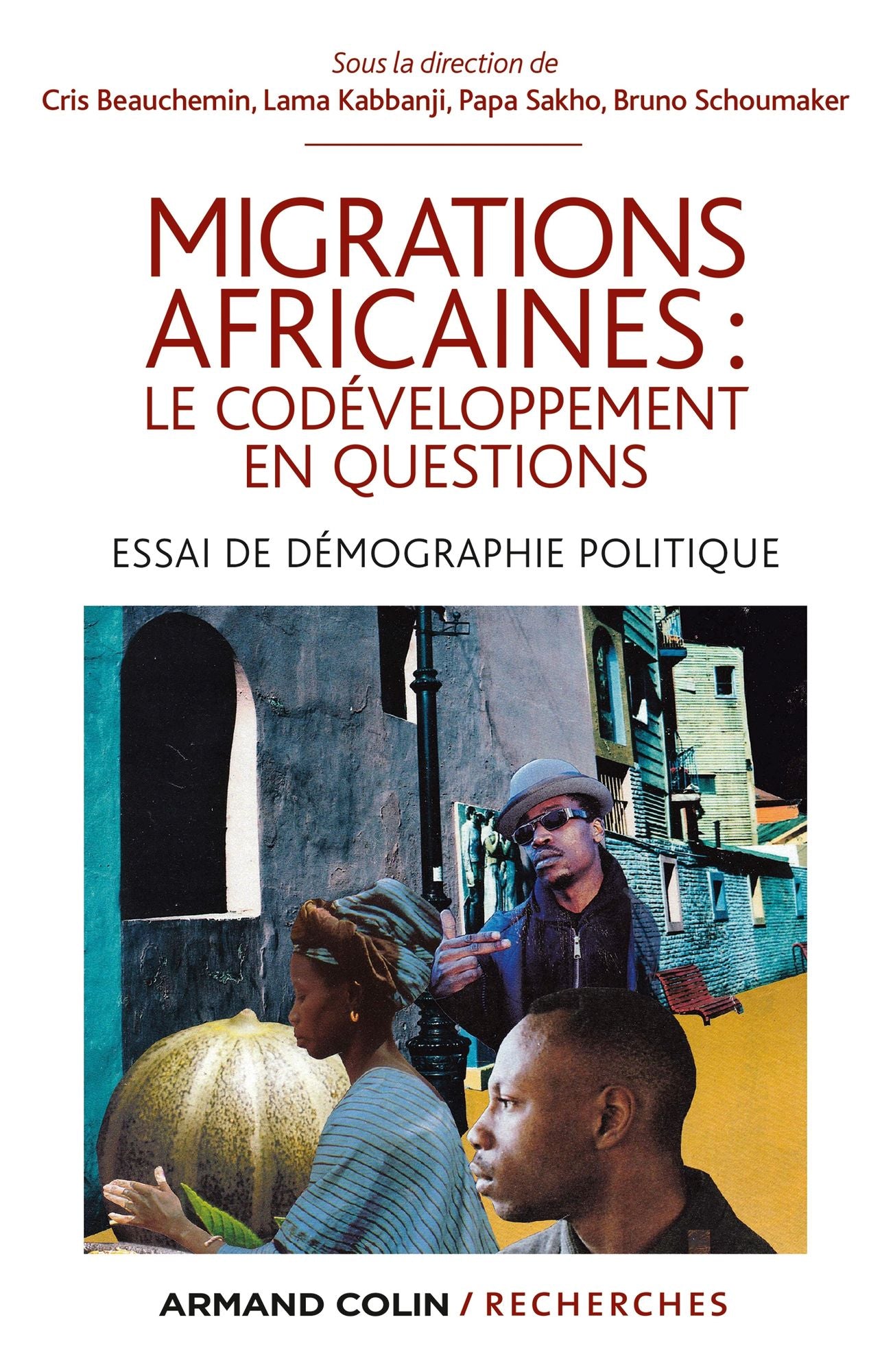 Migrations africaines : le codéveloppement en questions: Essai de démographie politique