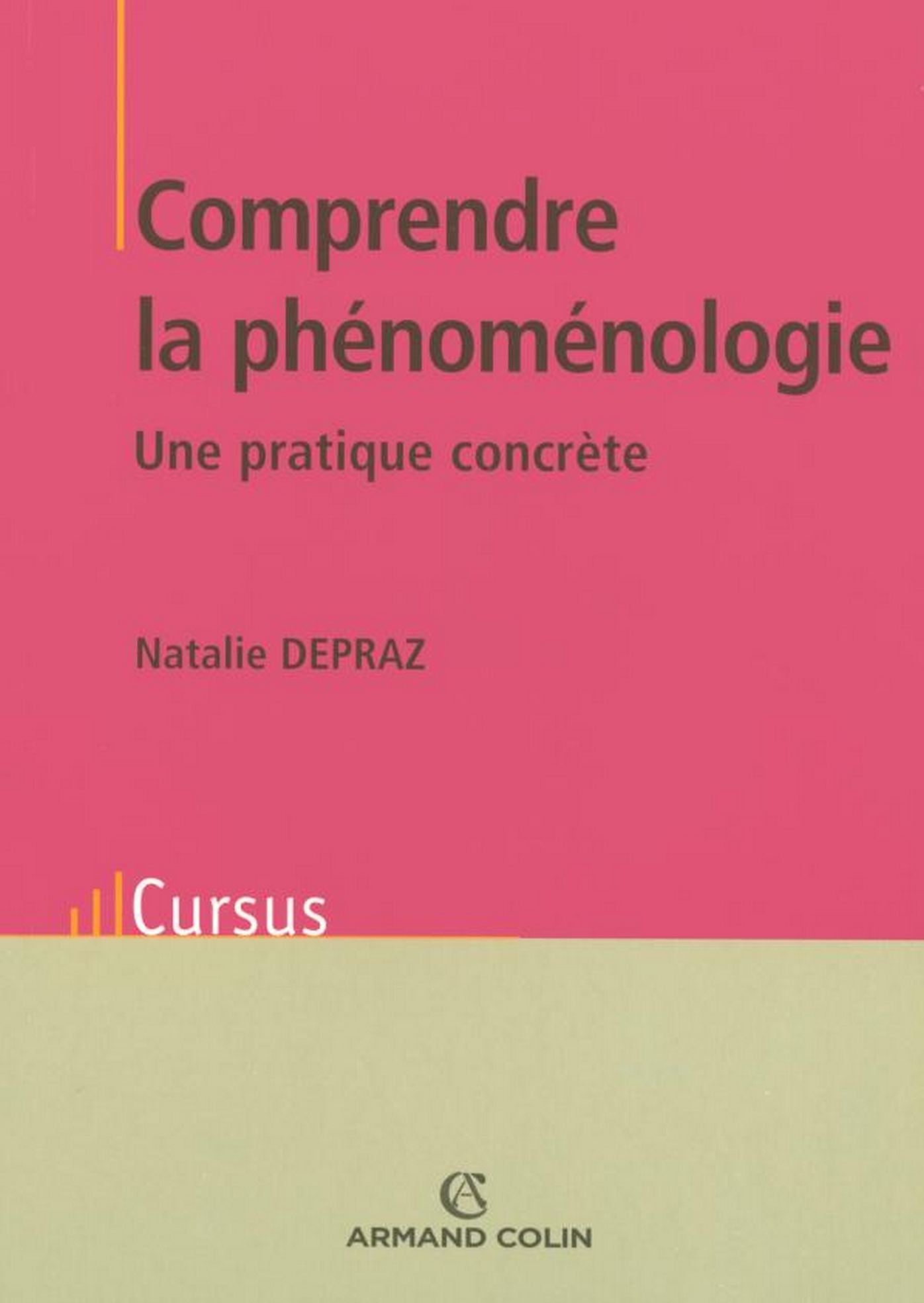 Comprendre la phénoménologie: Une pratique concrète