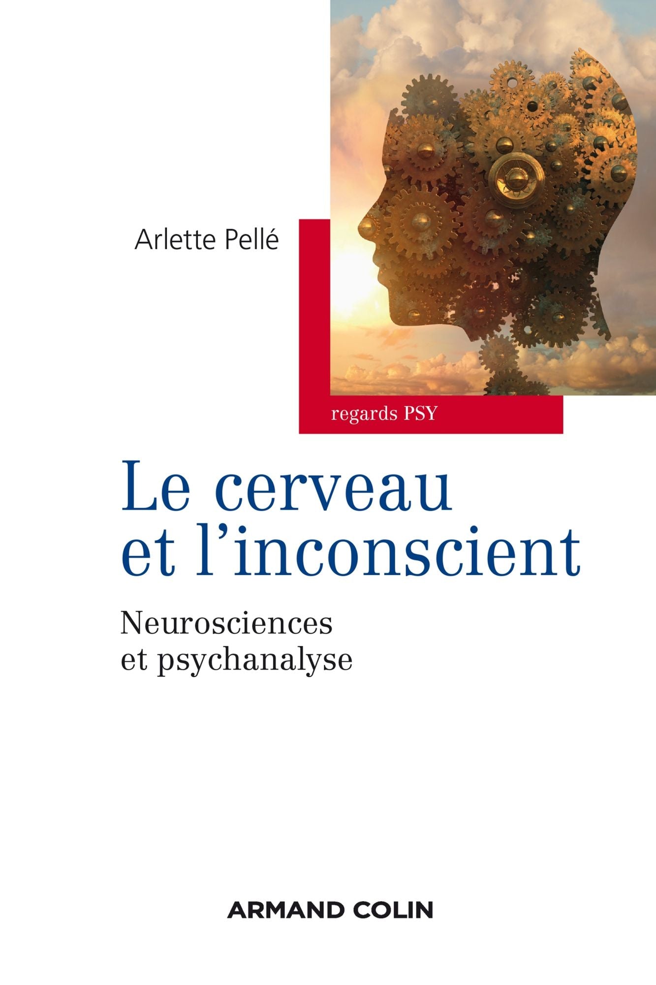 Le cerveau et l'inconscient: Neurosciences et psychanalyse