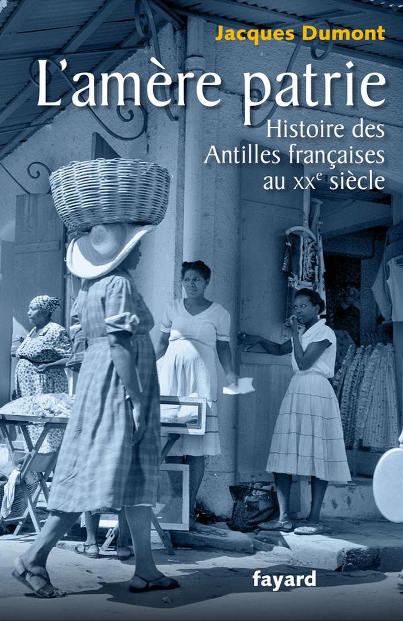L'amère patrie.: Histoire des Antilles françaises au XXe siècle