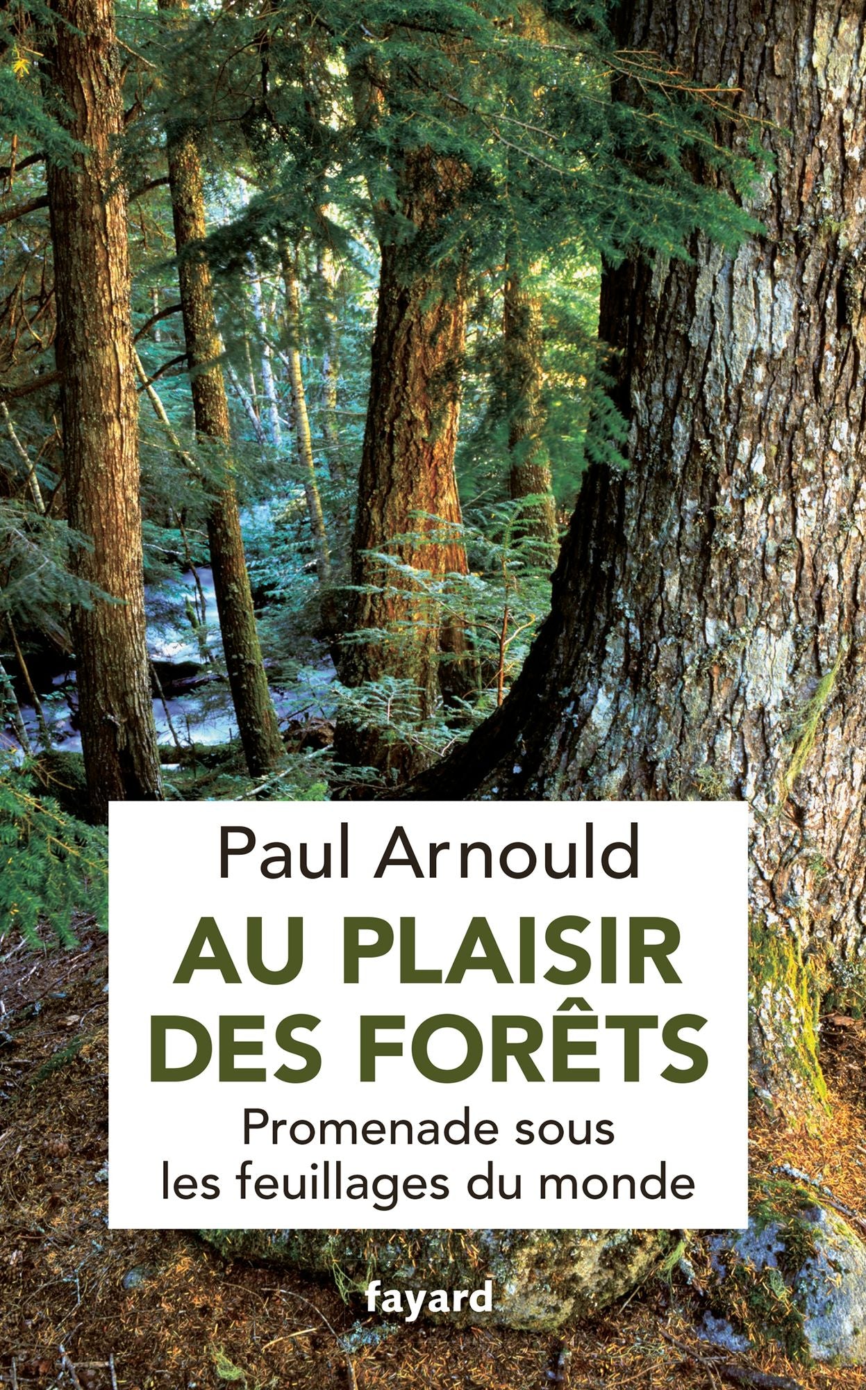 Au plaisir des forêts: Promenade sous les feuillages du monde