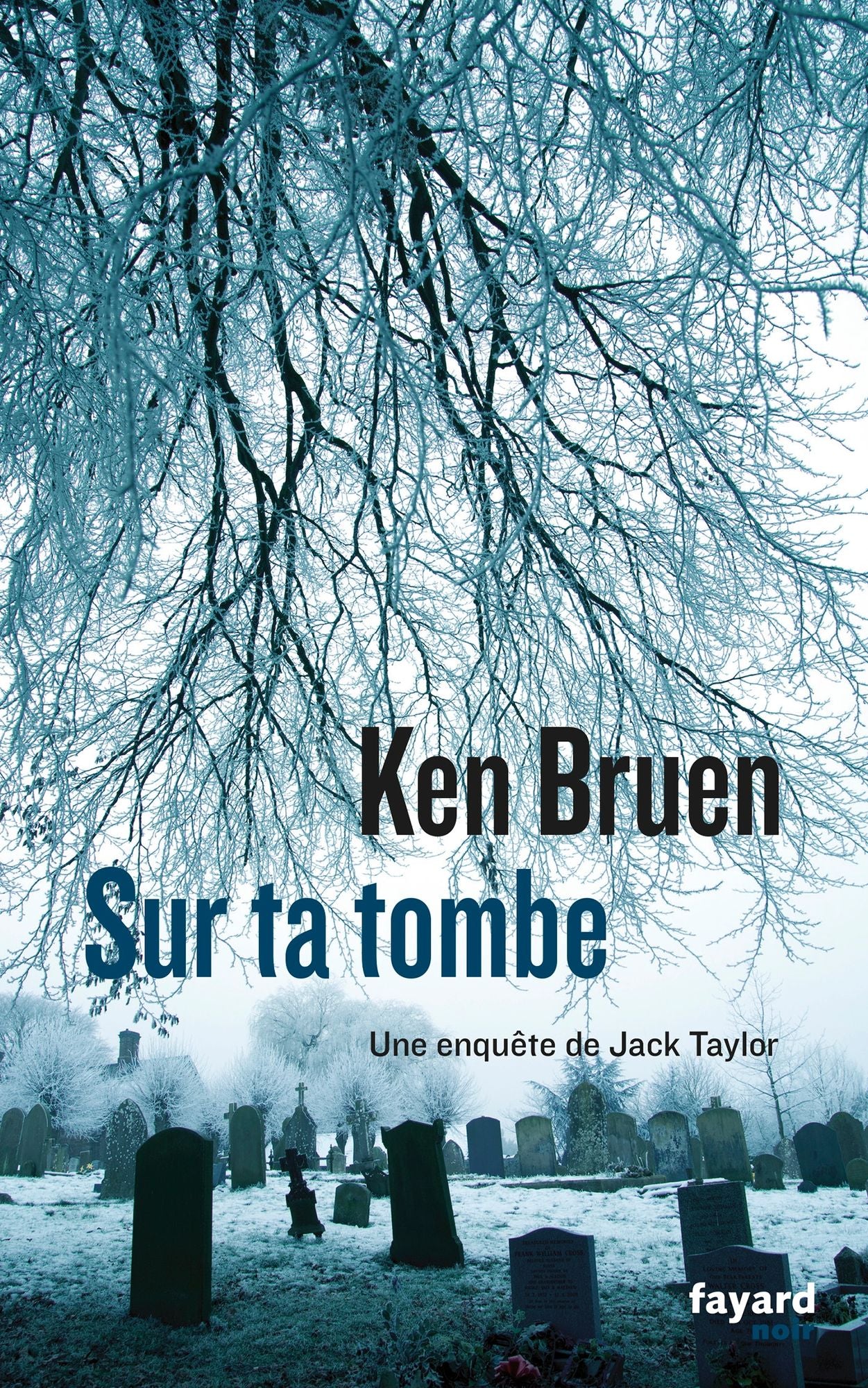 Sur ta tombe: Une enquête de Jack Taylor