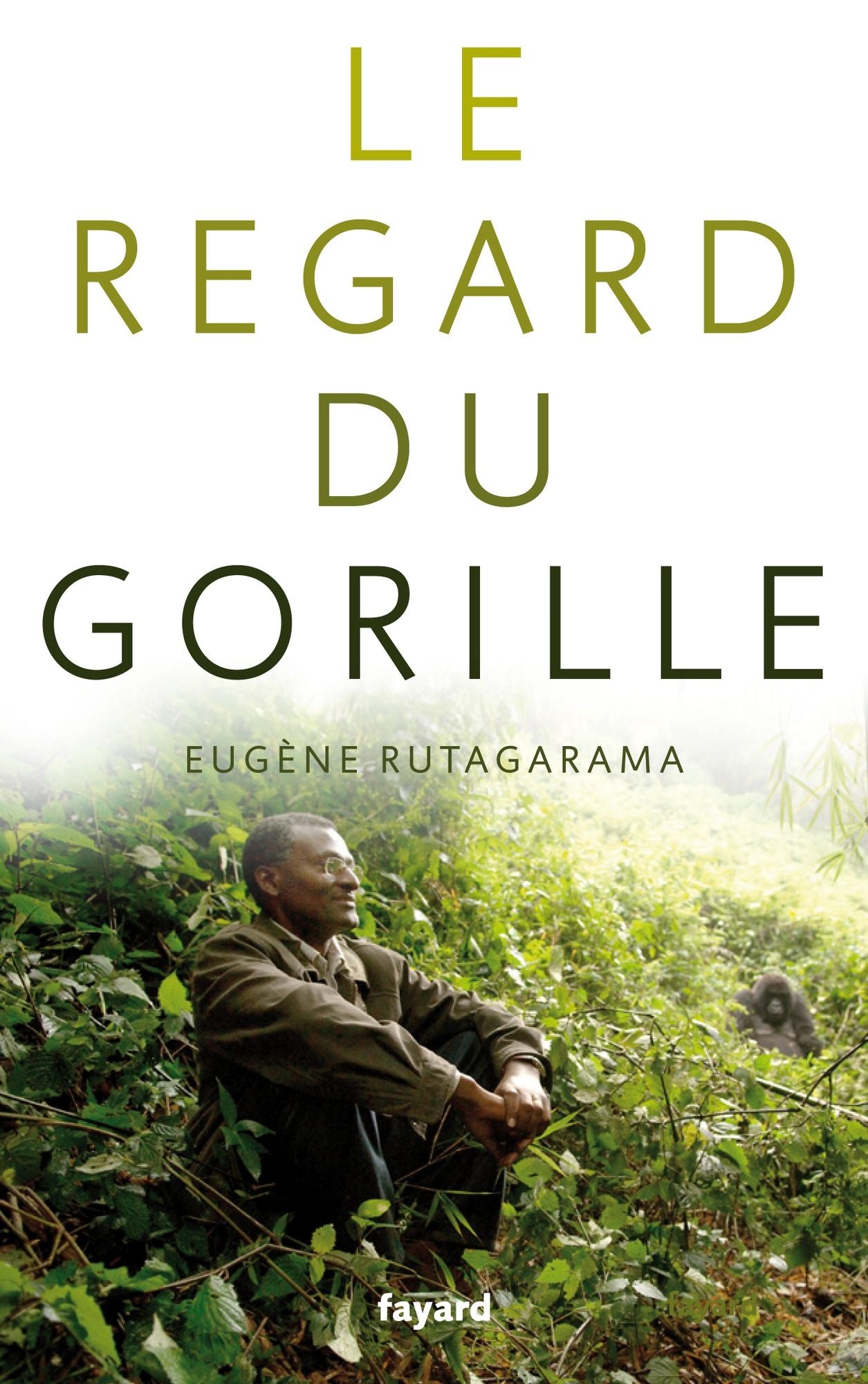 Le regard du gorille