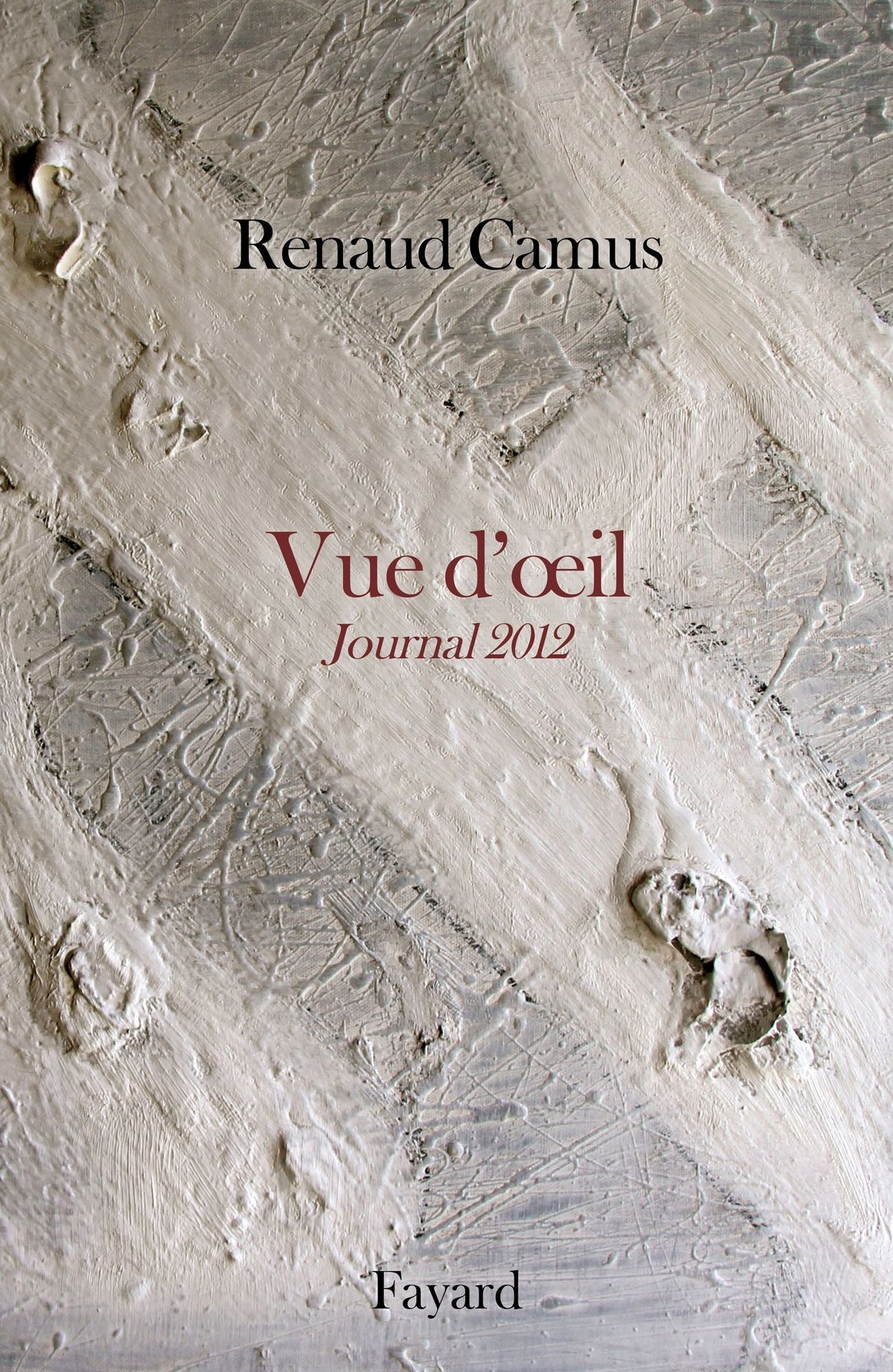Vue d'oeil: Journal 2012