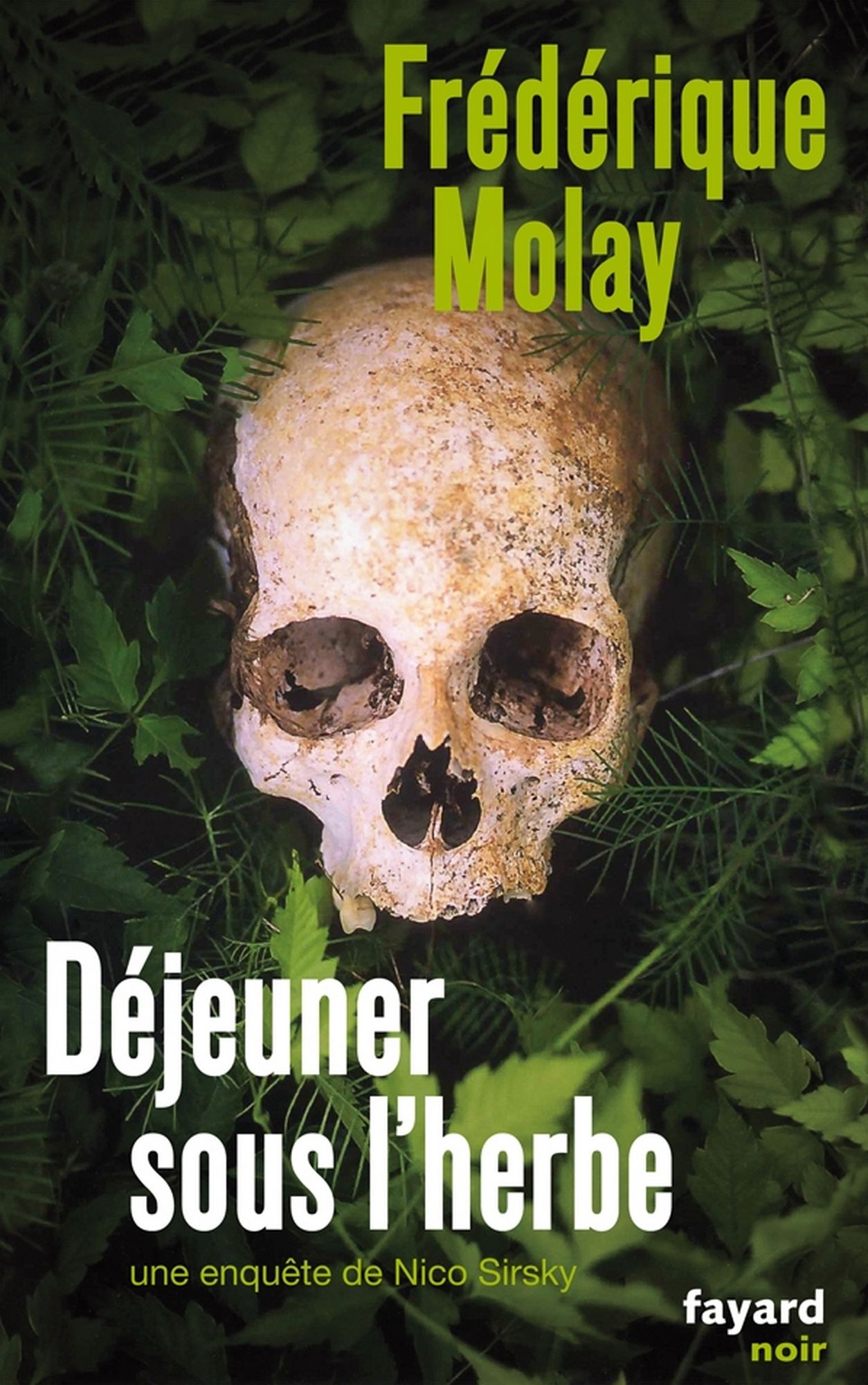 Déjeuner sous l'herbe: Une enquête de Nico Sirsky