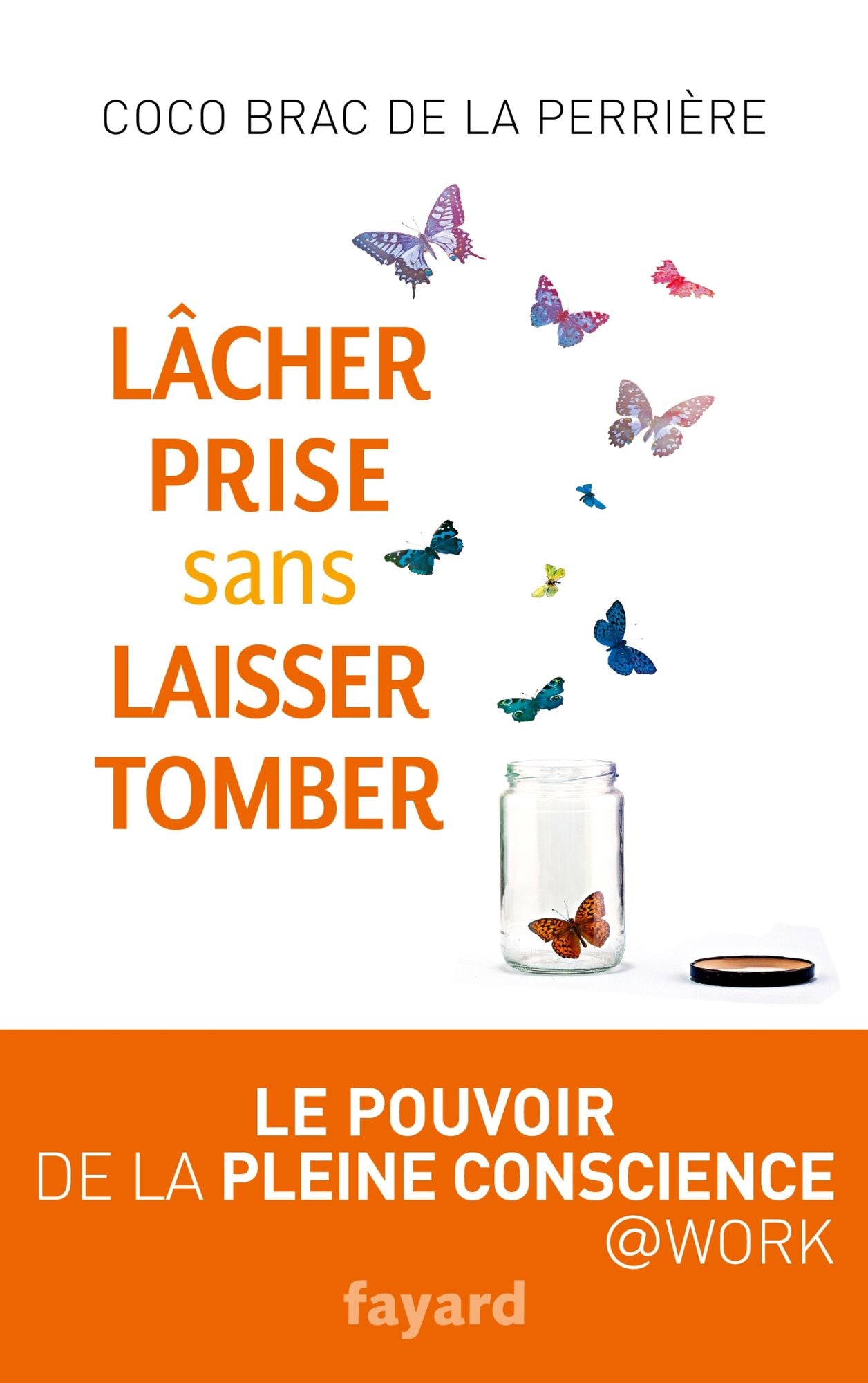 Lâcher prise sans laisser tomber: Le pouvoir de la pleine conscience