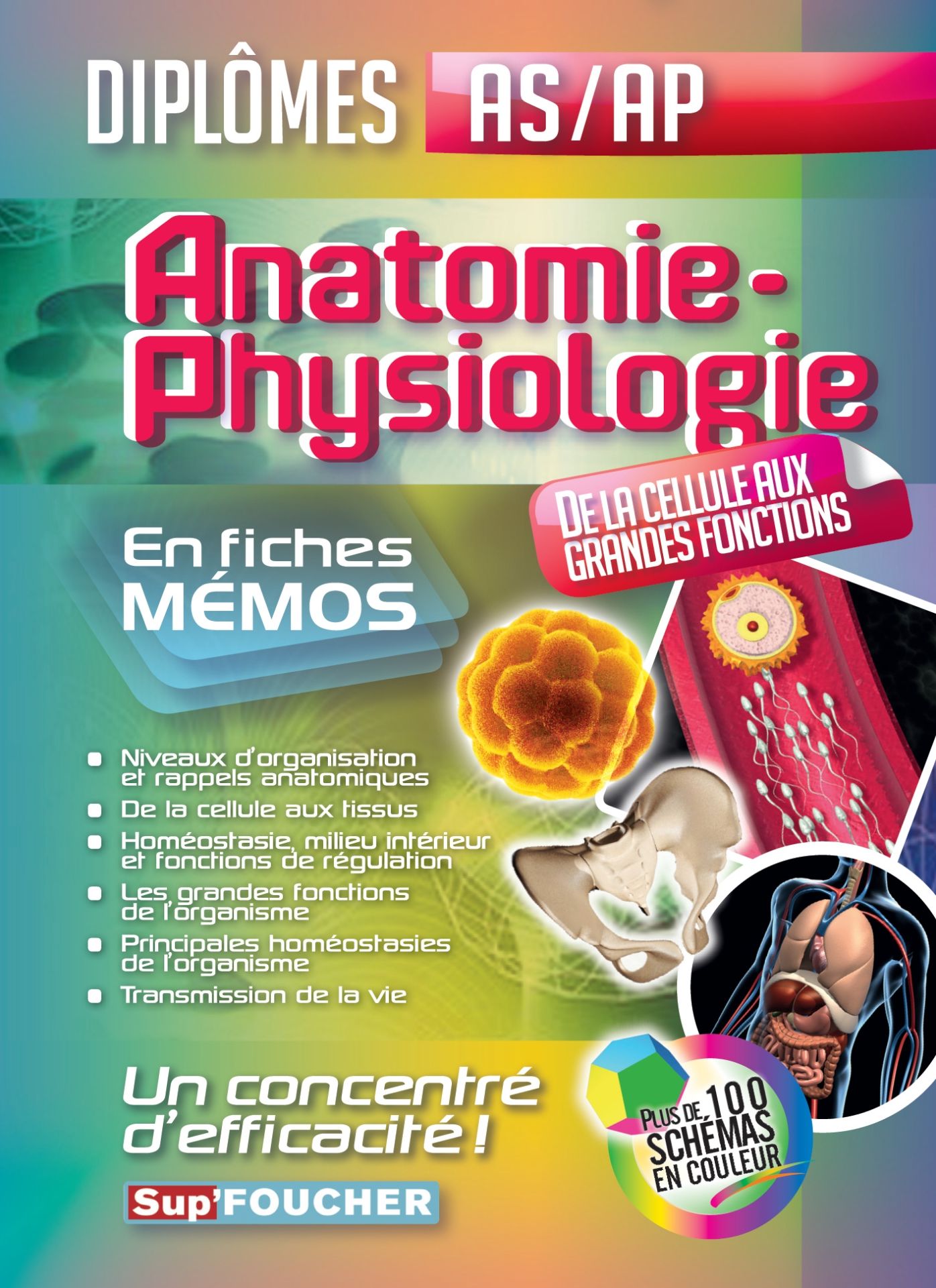 Anatomie - Physiologie - Aide-Soignant - Auxiliaire de puériculture - DEAS - DEAP