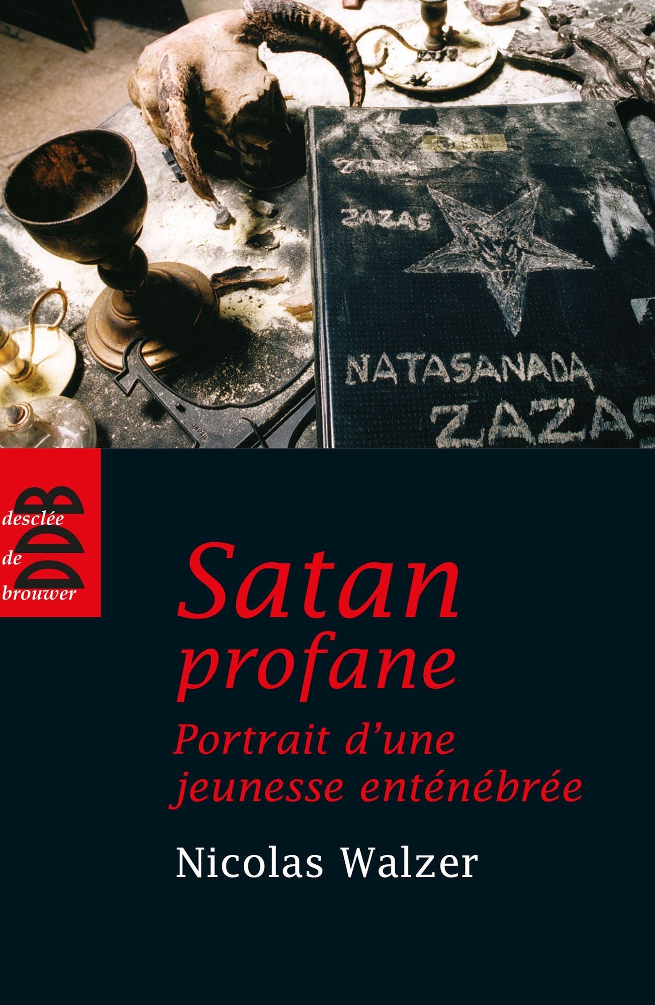 Satan profane: Portrait d'une jeunesse enténébrée