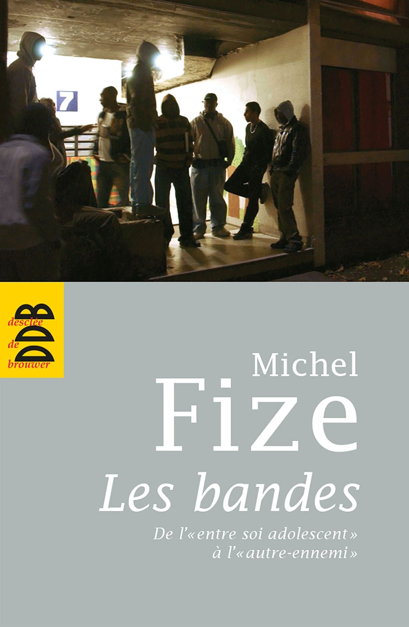 Les bandes: De l'entre soi adolescent à l'autre ennemi