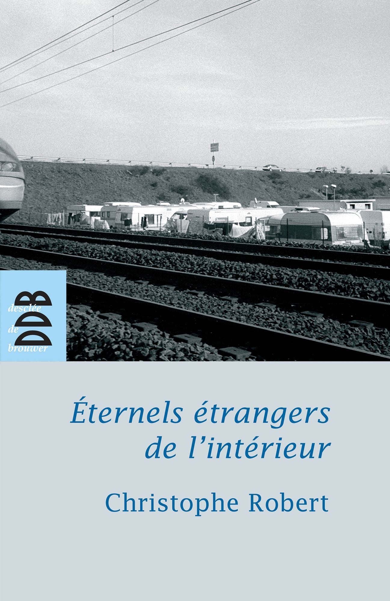 Eternels étrangers de l'intérieur ?: Les groupes tsiganes en France