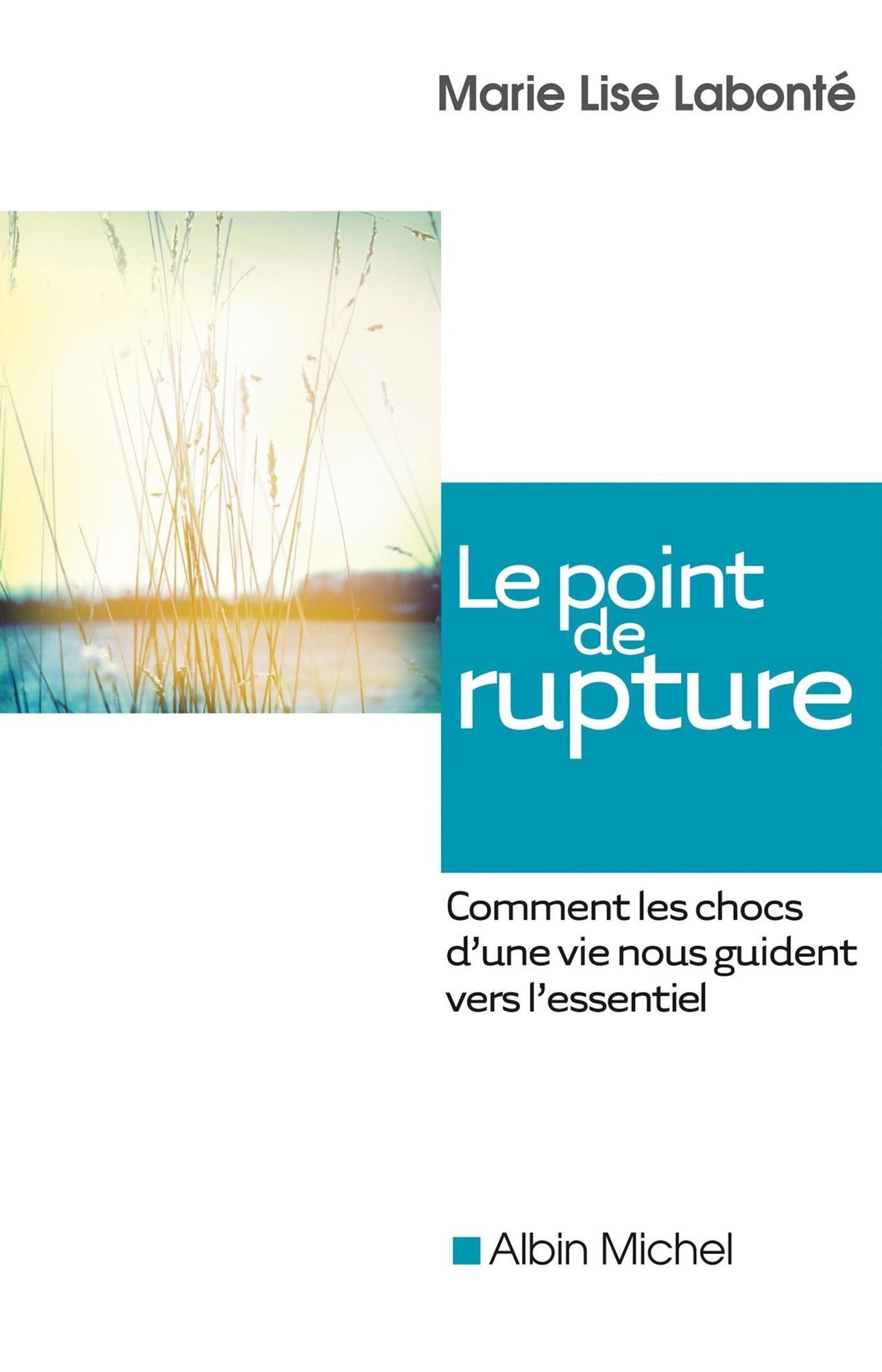 Le Point de rupture: Comment les chocs d'une vie nous guident vers l'essentiel