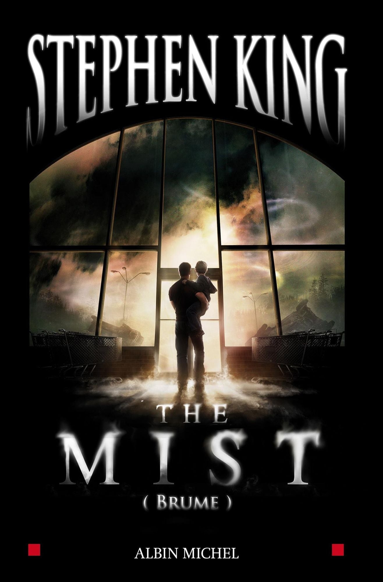 The Mist: (Brume)