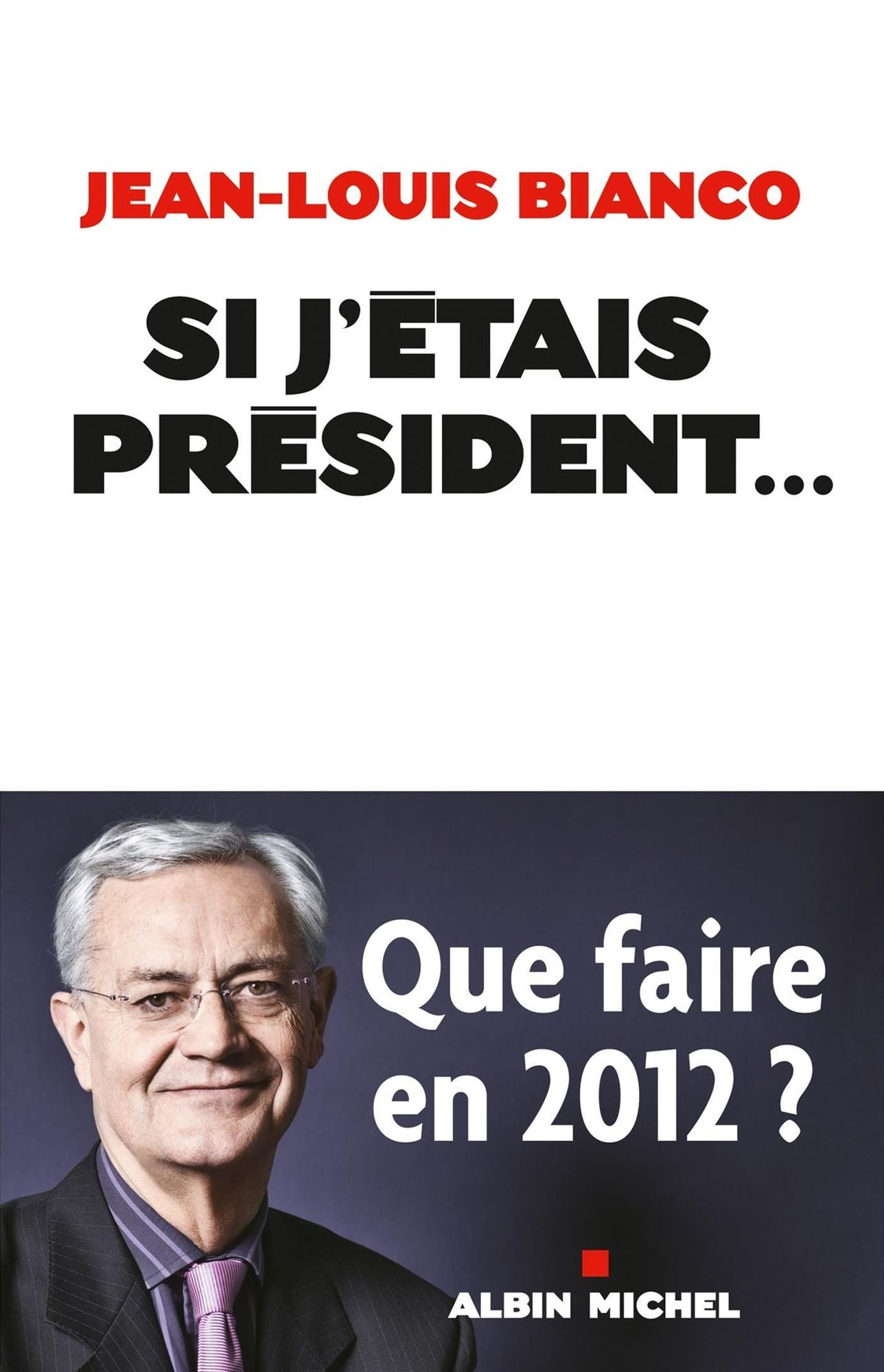 Si j'étais président...: Entretiens avec Sylvie Turillon-Manuel