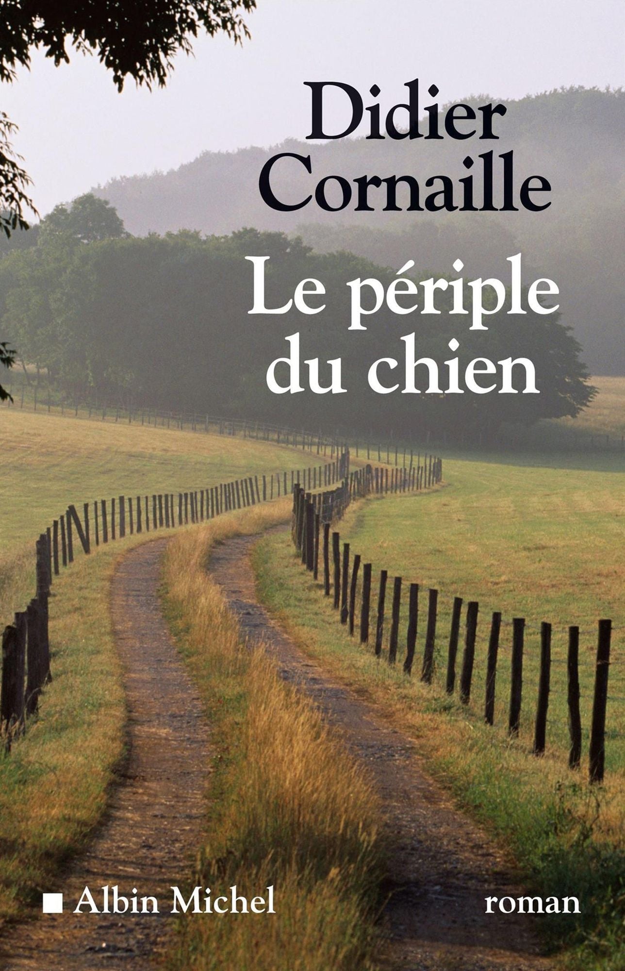Le Périple du chien