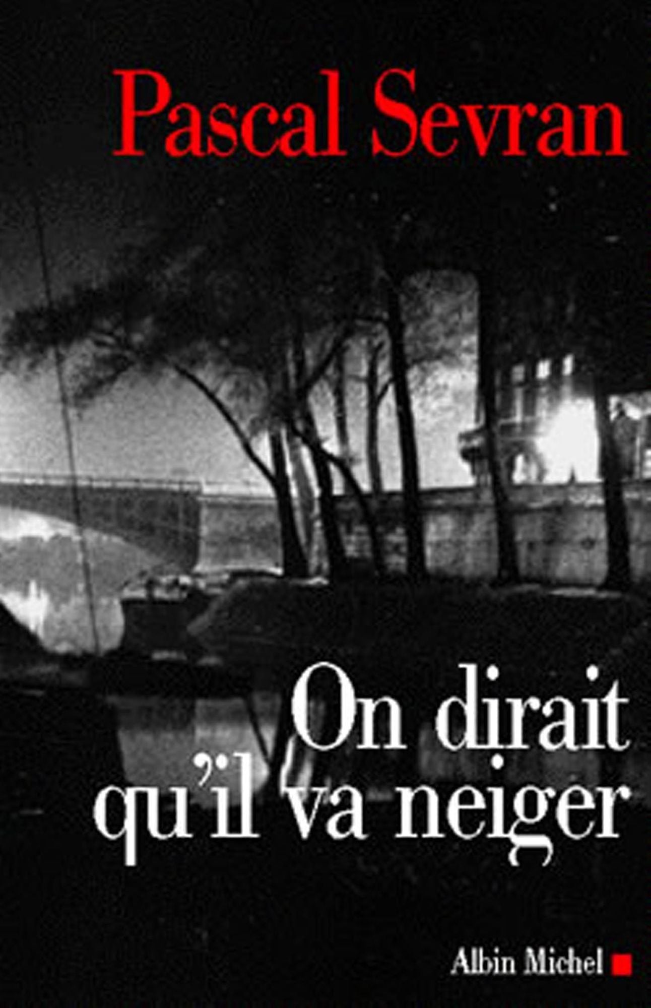 On dirait qu'il va neiger: Journal 3