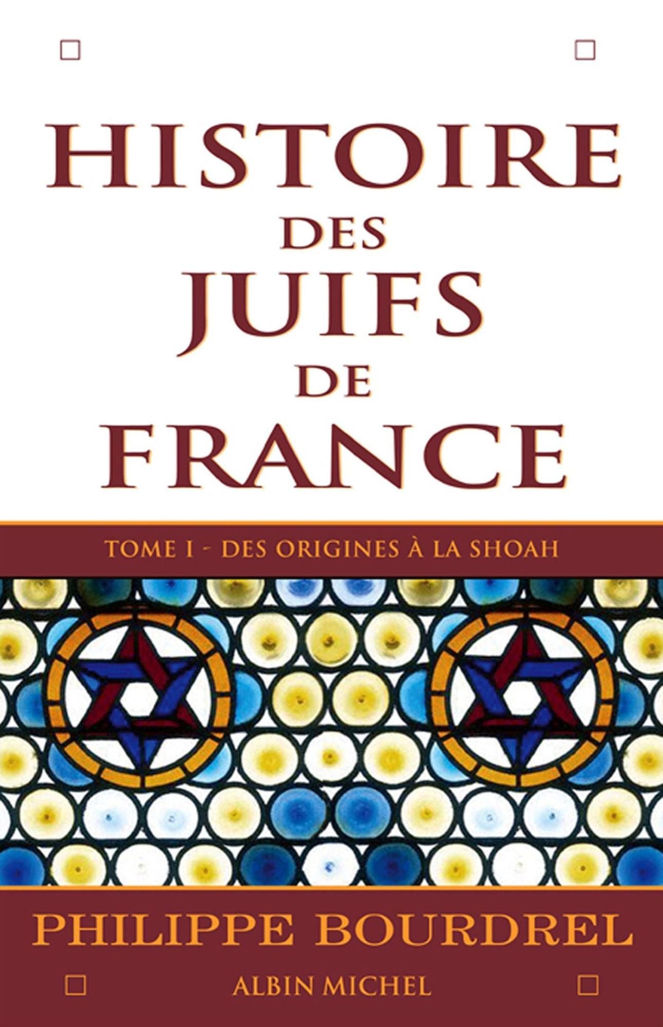 Histoire des Juifs de France - tome 1: Des origines à la Shoah