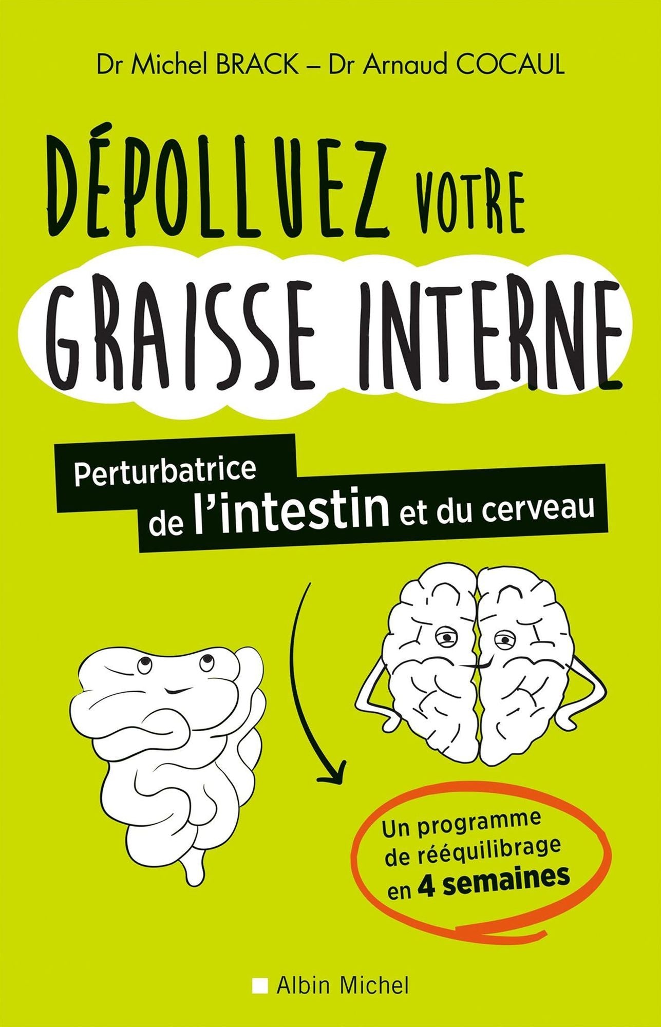 Dépolluez votre graisse interne: Perturbatrice de l'intestin et du cerveau
