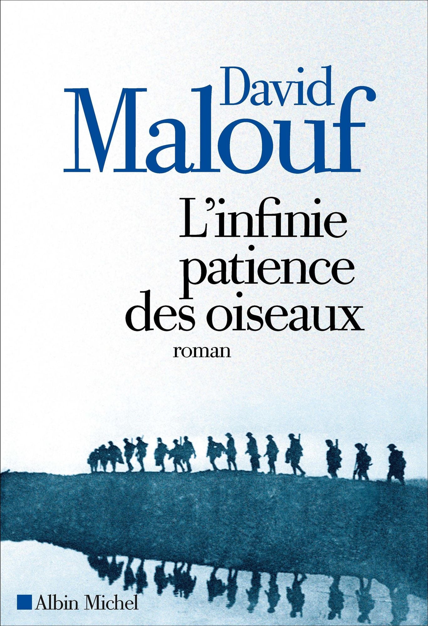 L'Infinie patience des oiseaux