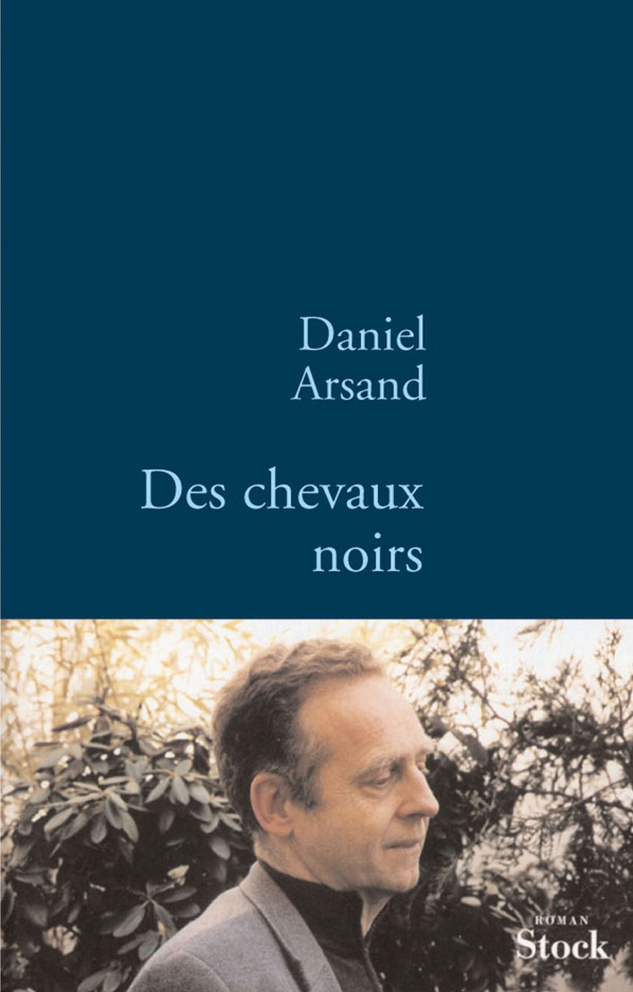 Des chevaux noirs