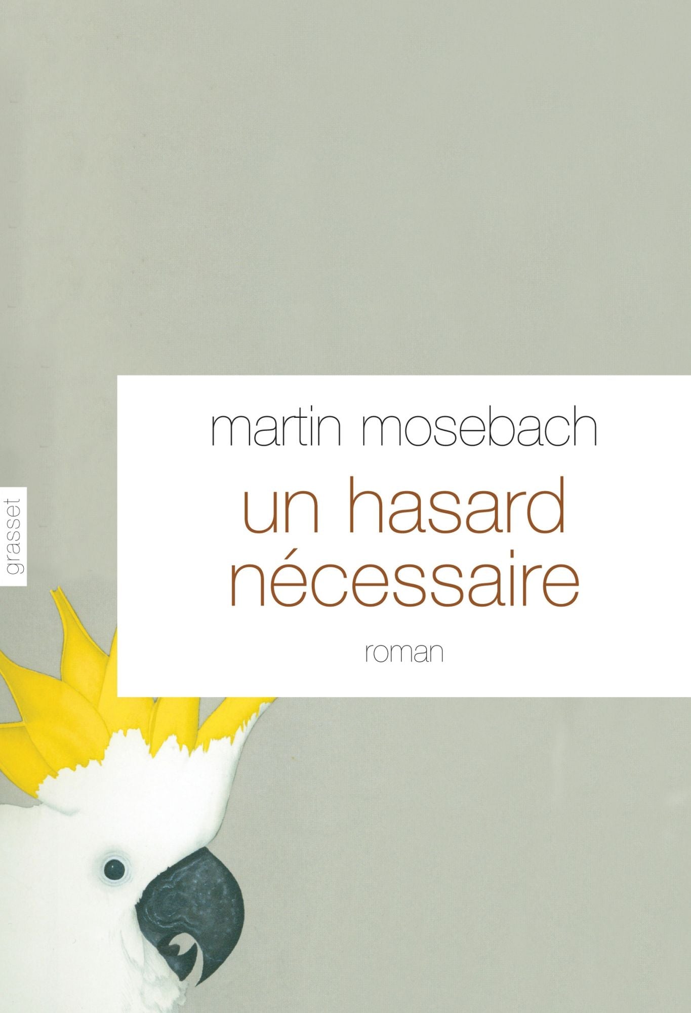 Un hasard nécessaire: Roman - traduit de l'allemand par Frédérique Laurent