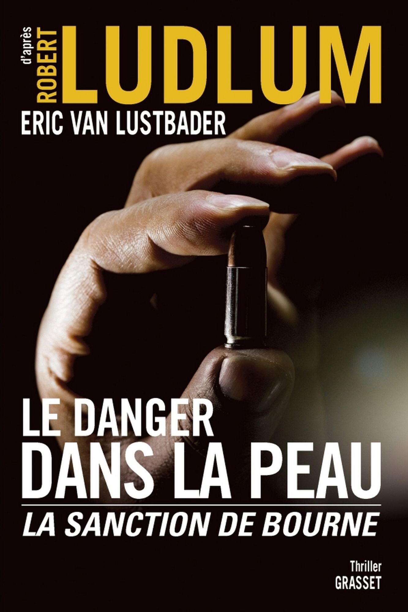 Le danger dans la peau: La sanction de Bourne